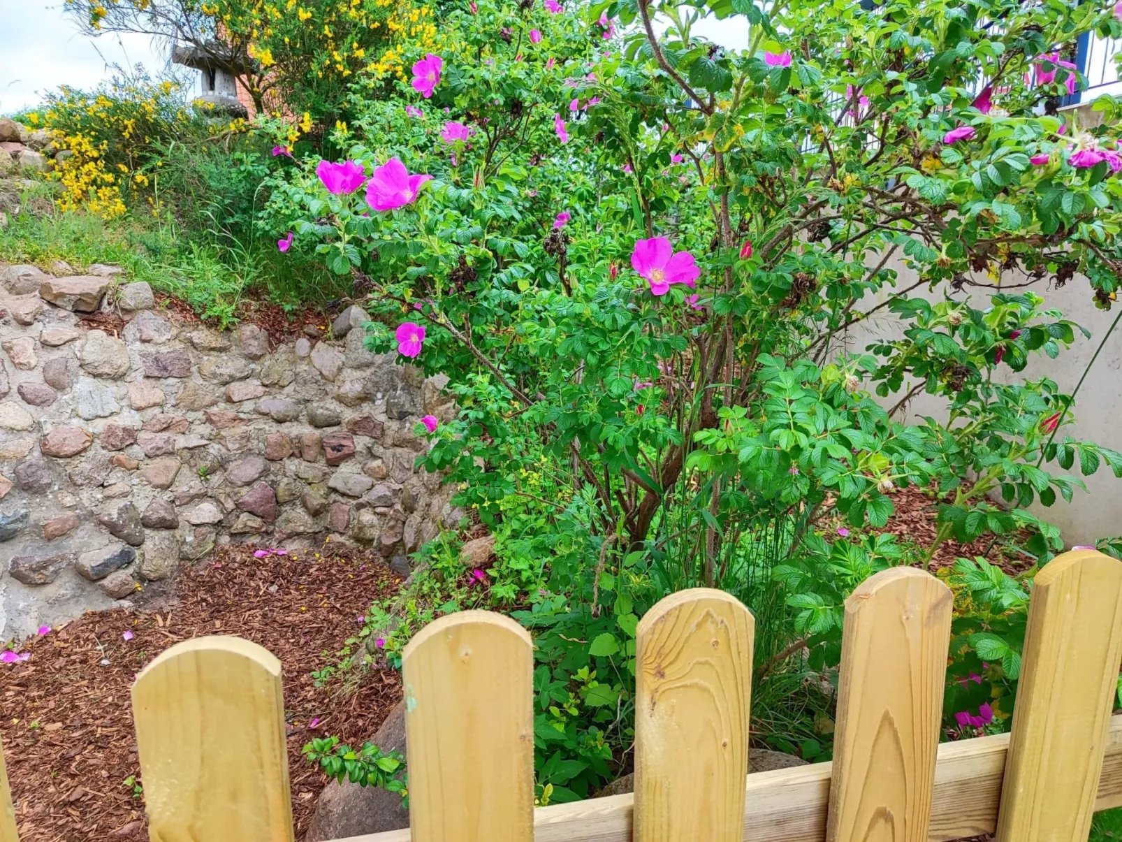 "Heide1" mit Terrasse - Image-tags.info