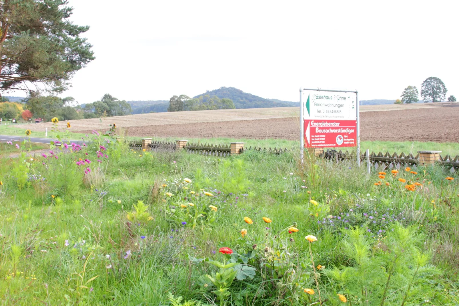 Gästehaus Kühne Fewo 1 OG - Gebieden zomer 1km
