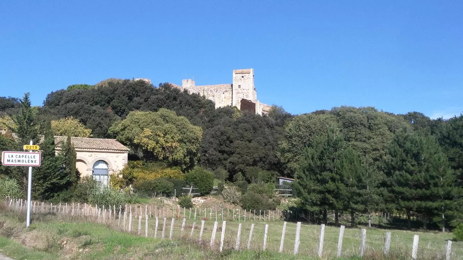 Citron - Gebieden zomer 1km