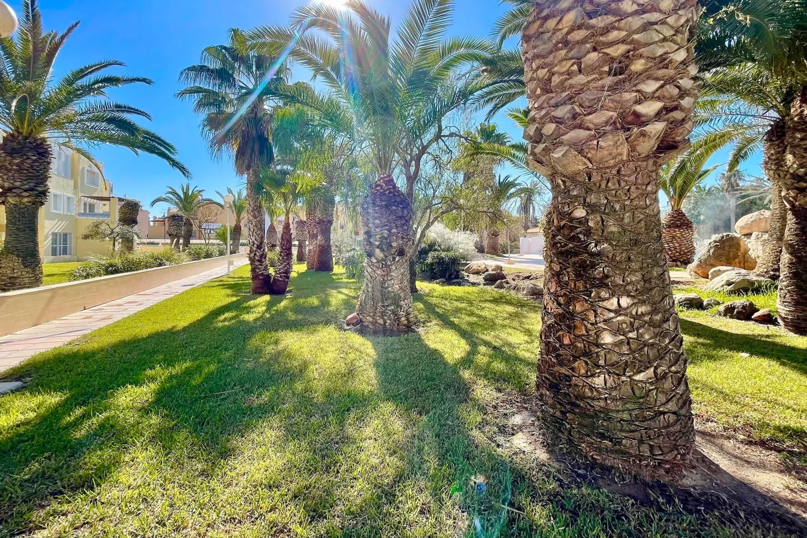 Moguima 2d-Tuinen zomer