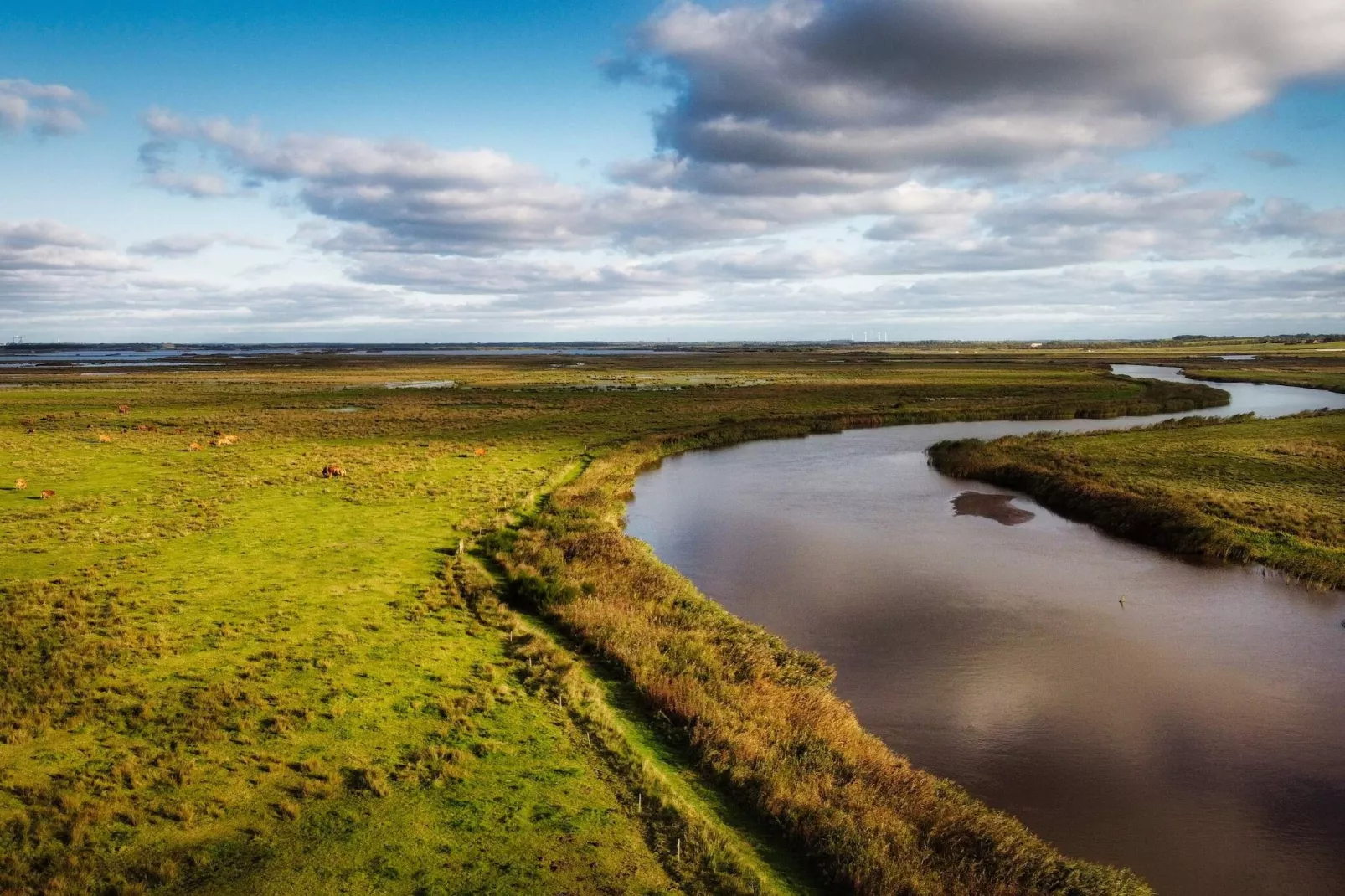 8 persoons vakantie huis in Skjern-By Traum - Waterzicht