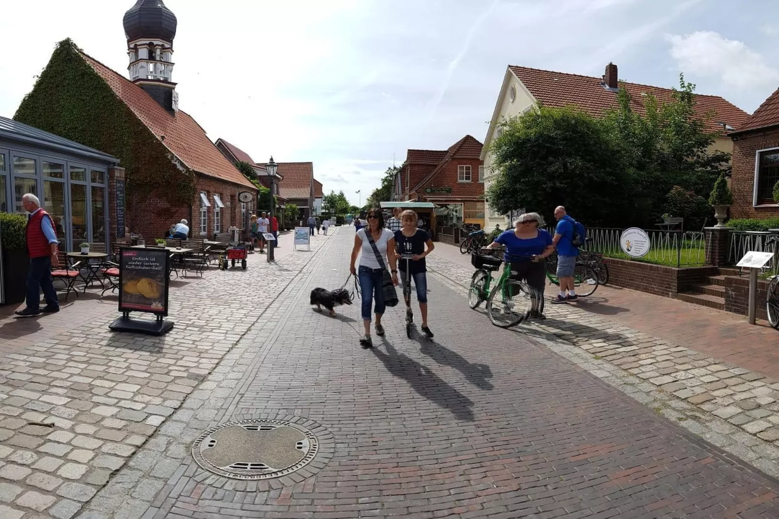 239782-Gebieden zomer 5km