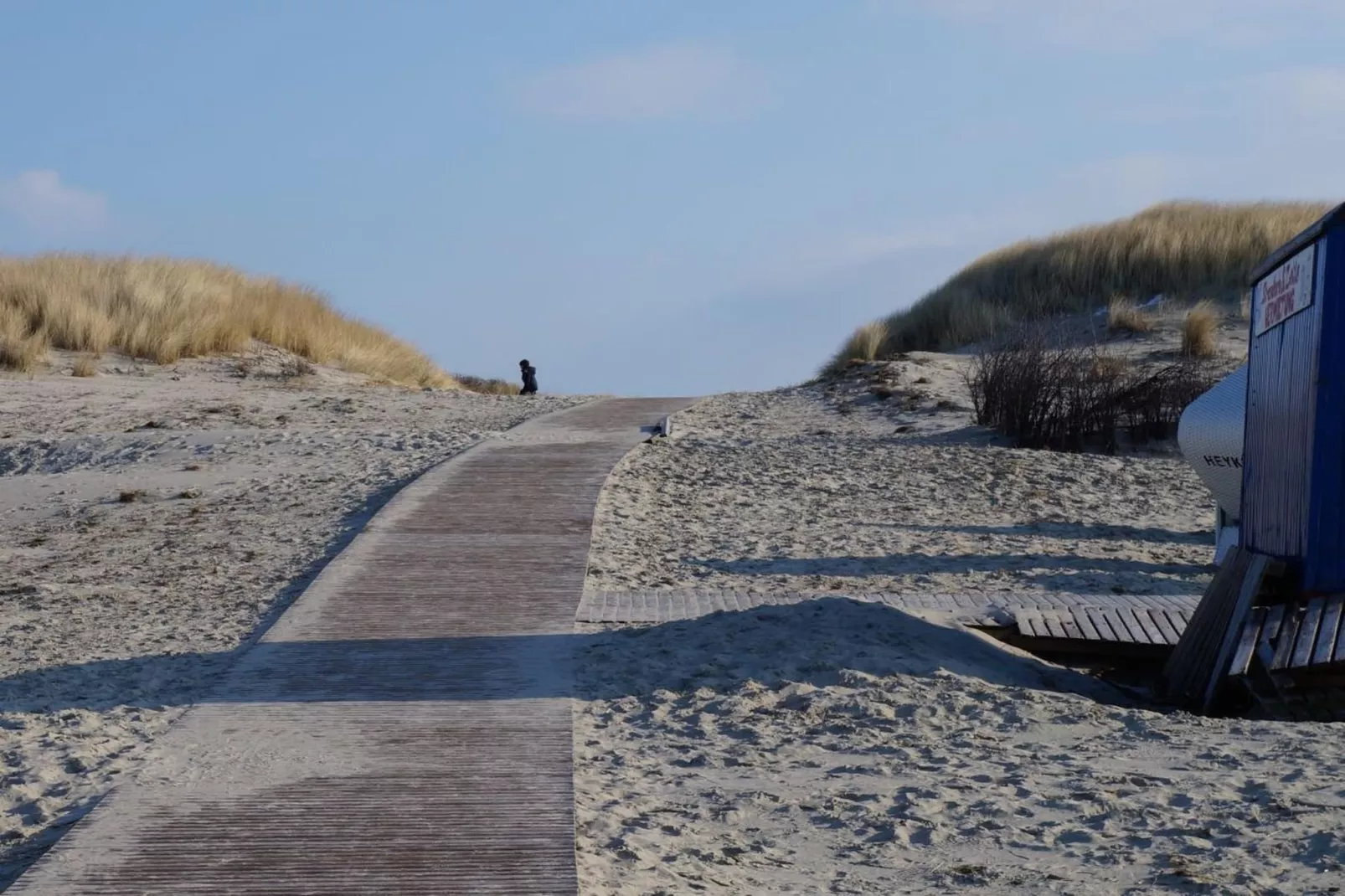 249875-Gebieden zomer 5km