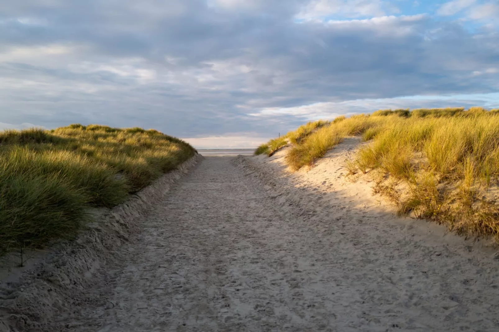 377693-Gebieden zomer 5km