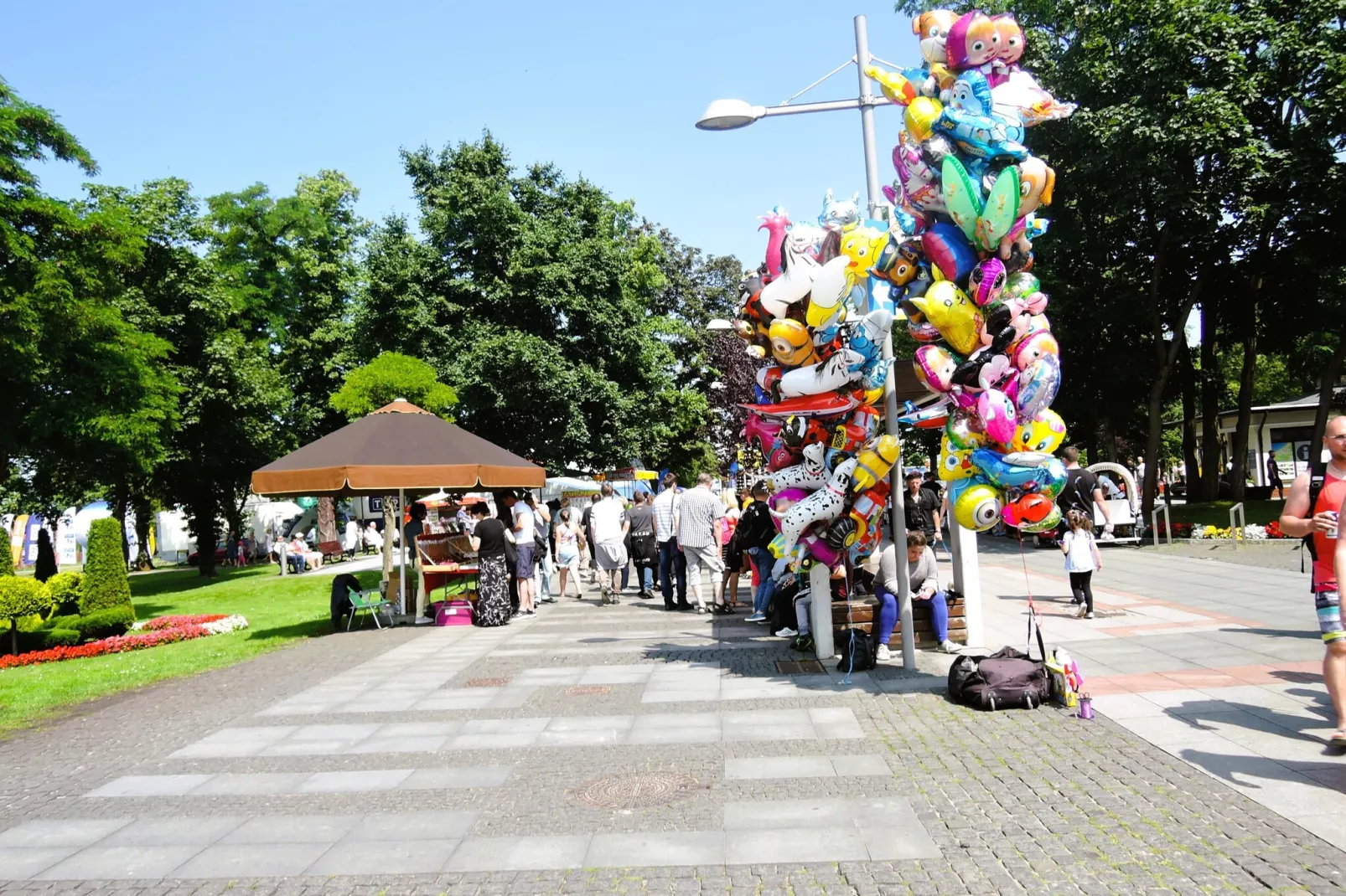 Domki Trebor dla 5 osób - Gebieden zomer 1km
