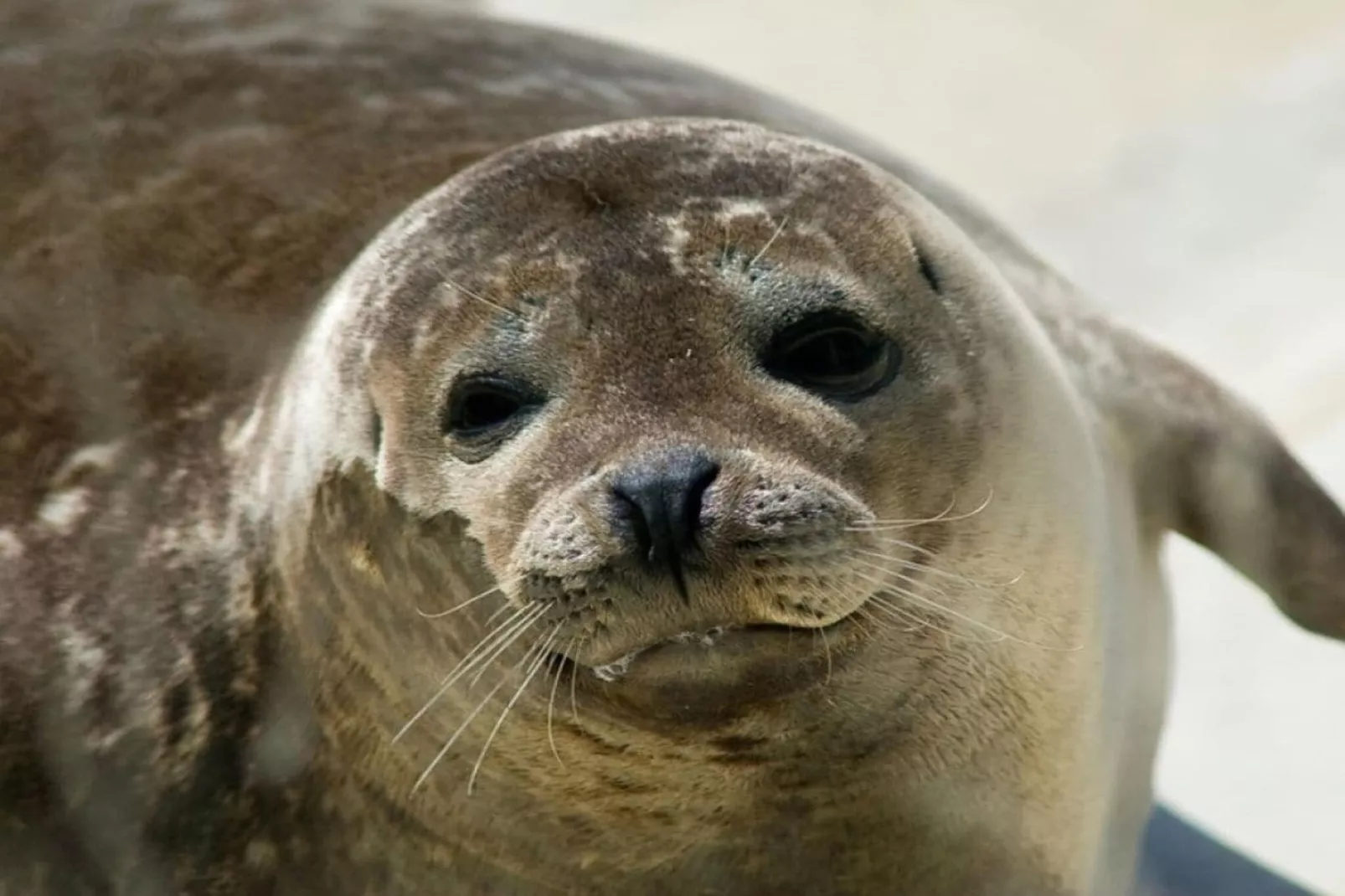 14140-Gebieden zomer 5km