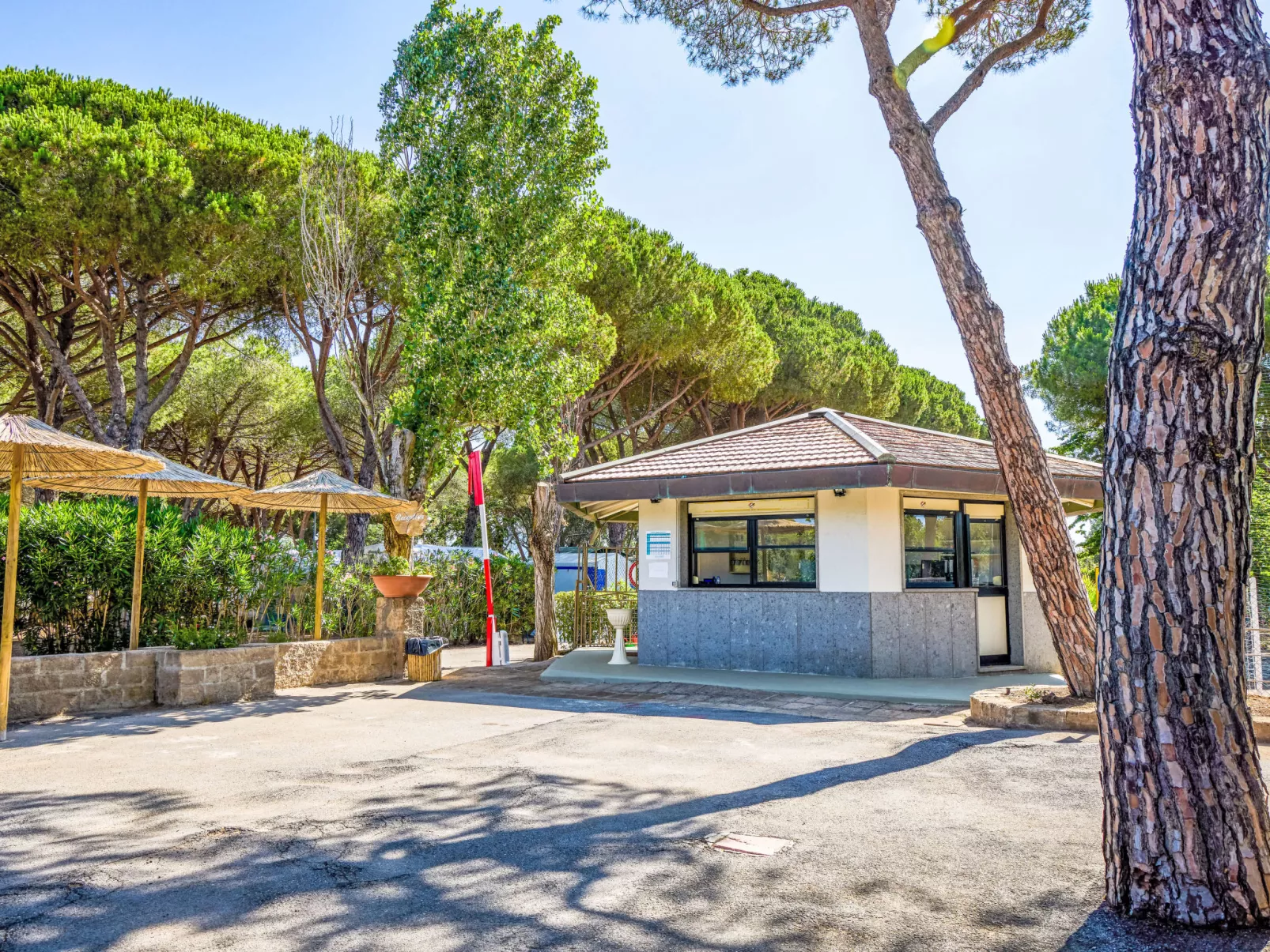 Costa D'Argento - Binnen