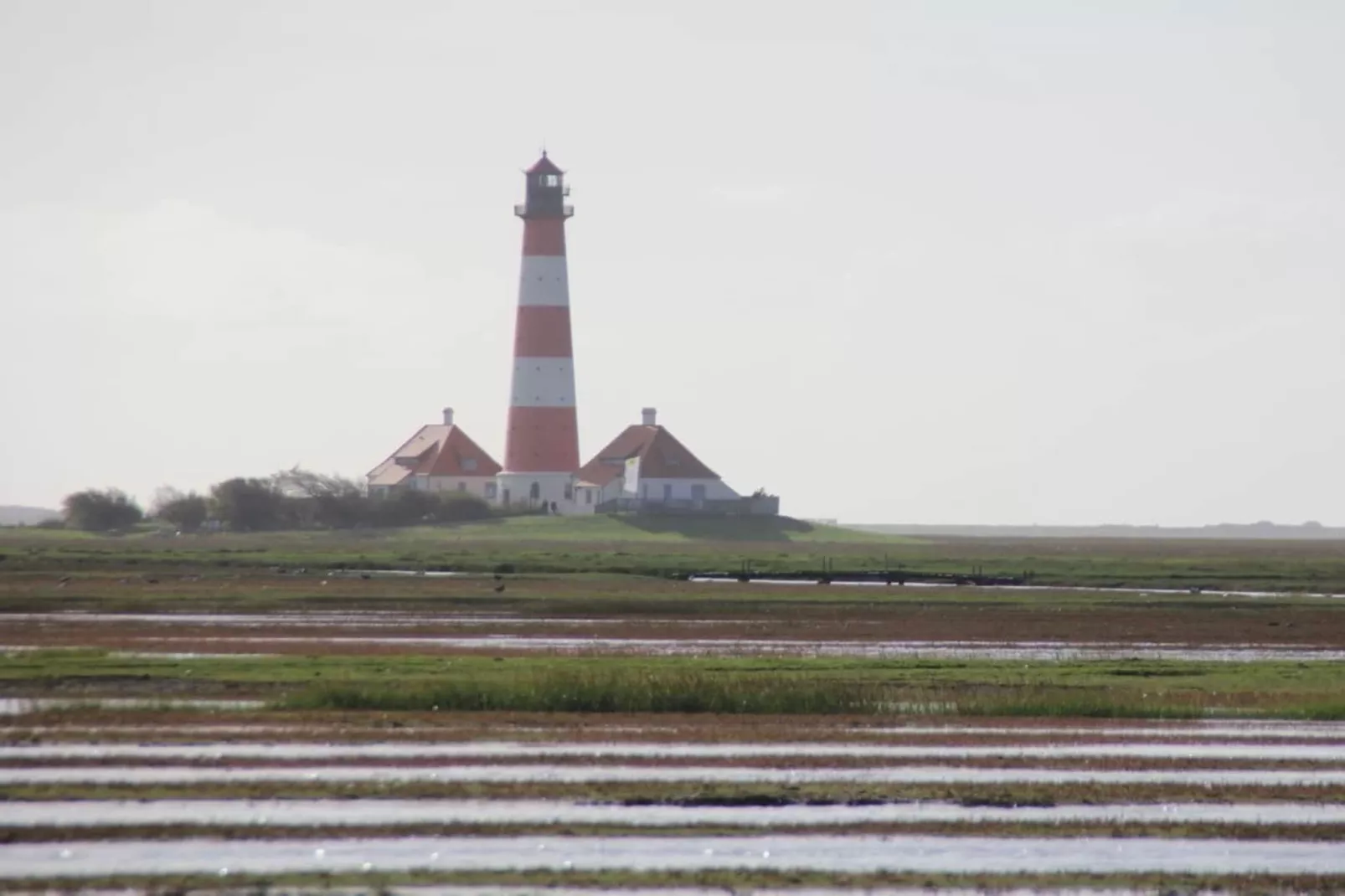66667-Gebieden zomer 5km