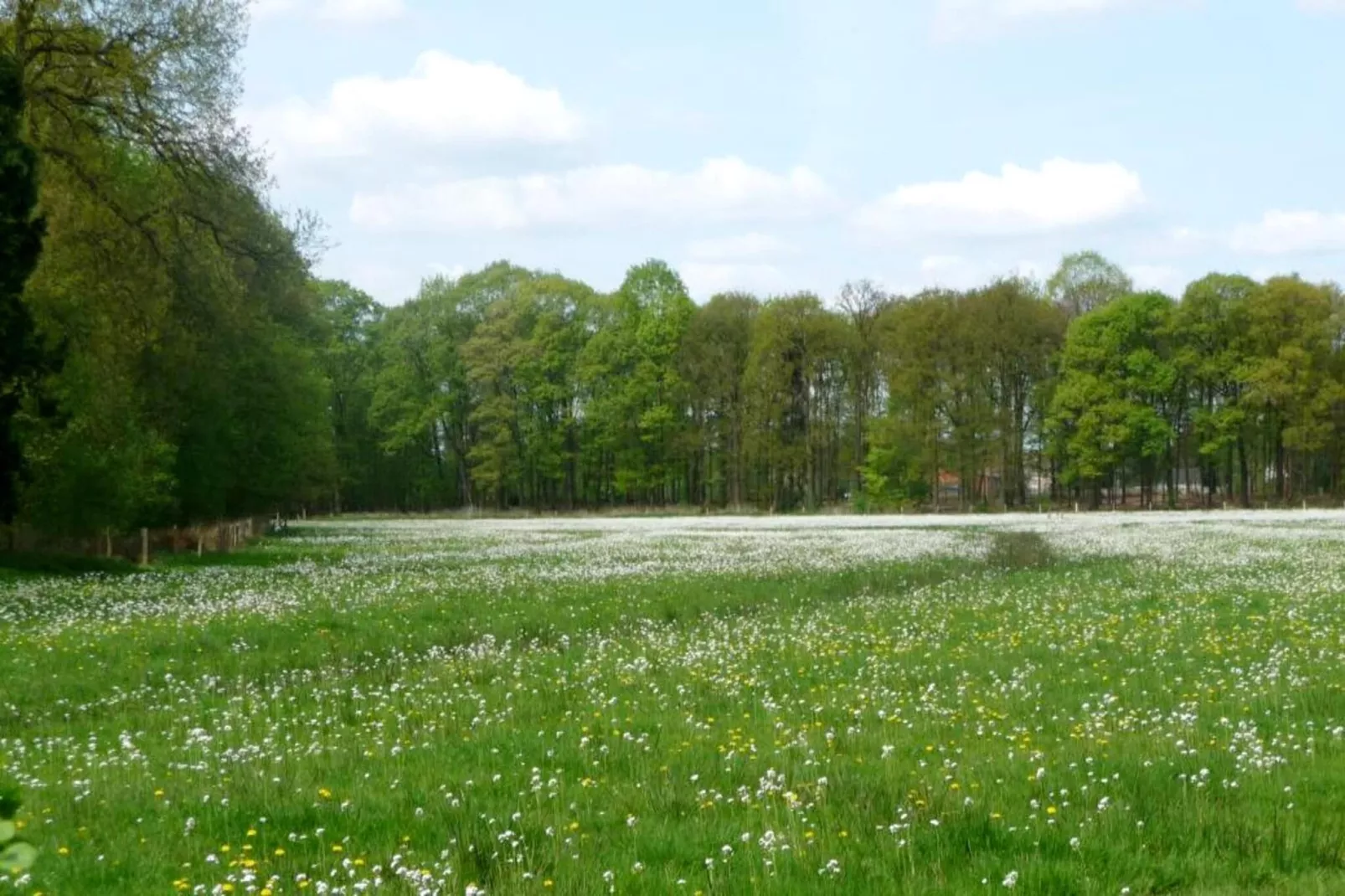 Cordelia Lodges-Gebieden zomer 5km