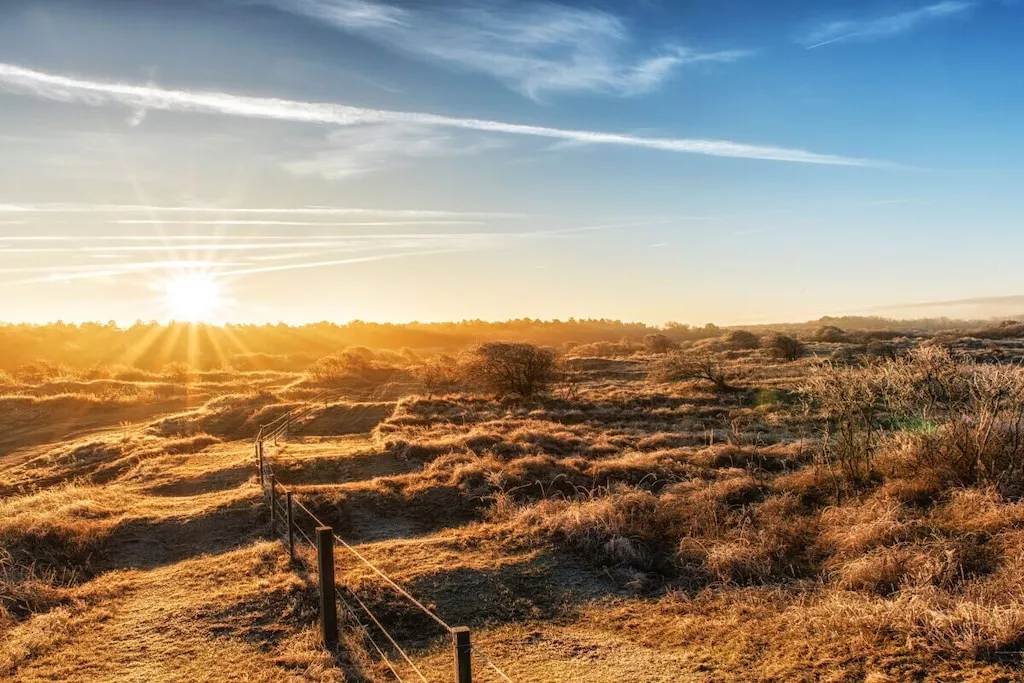 636177 - Niet-getagd