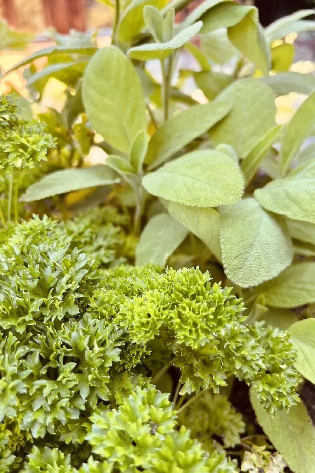 Alpaka-Ferienhaus Oenzlen - Image-tags.info