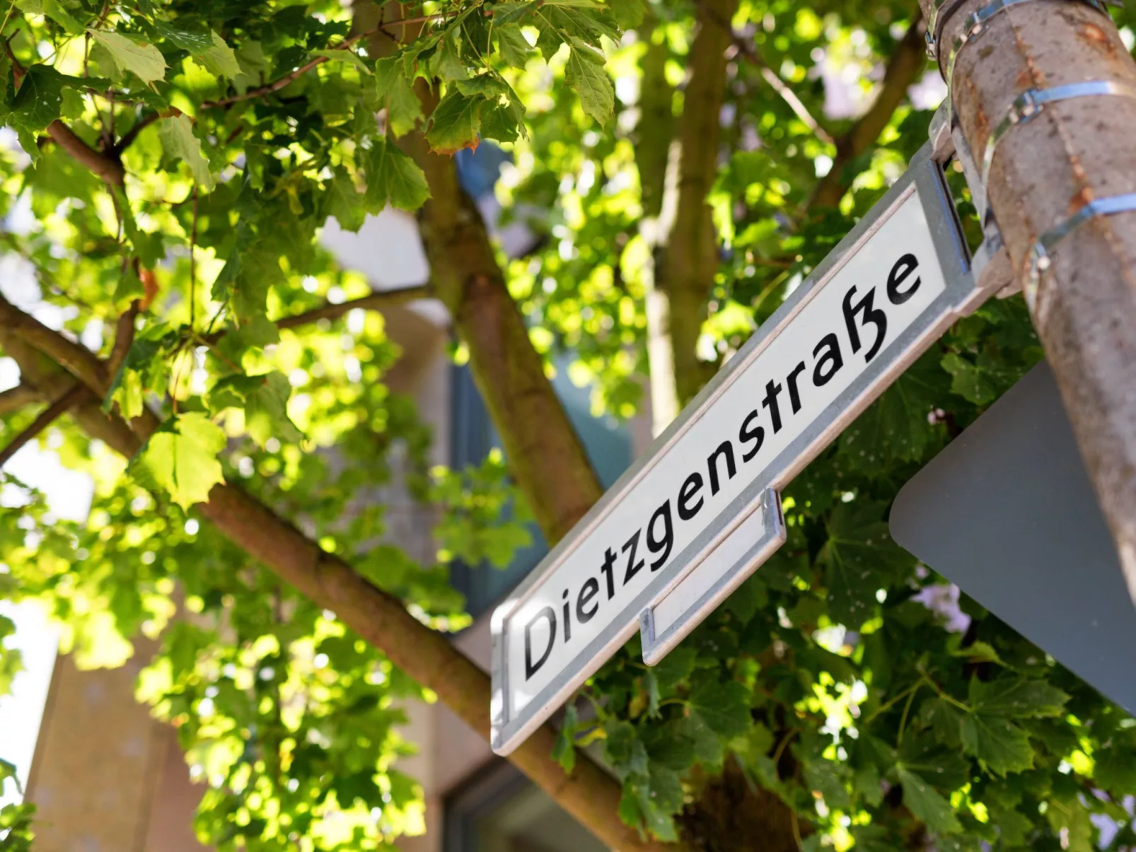 Wohnung in Niederschönhausen - Image-tags.info