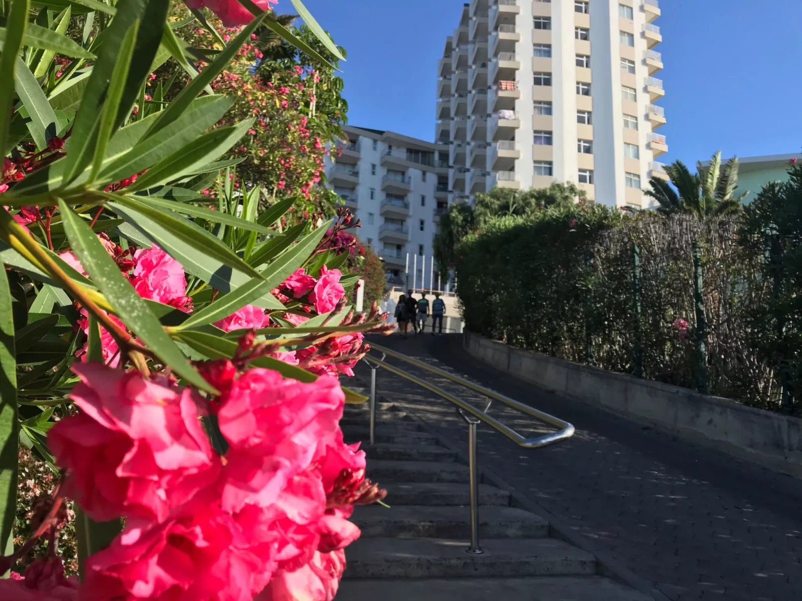 Mit Blick auf das Wasser - Image-tags.info