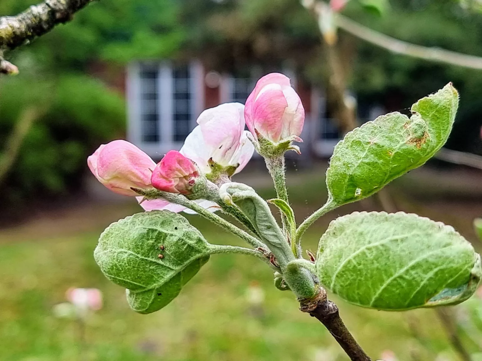 Urlaub auf dem Reithof mit Klavier - Image-tags.info