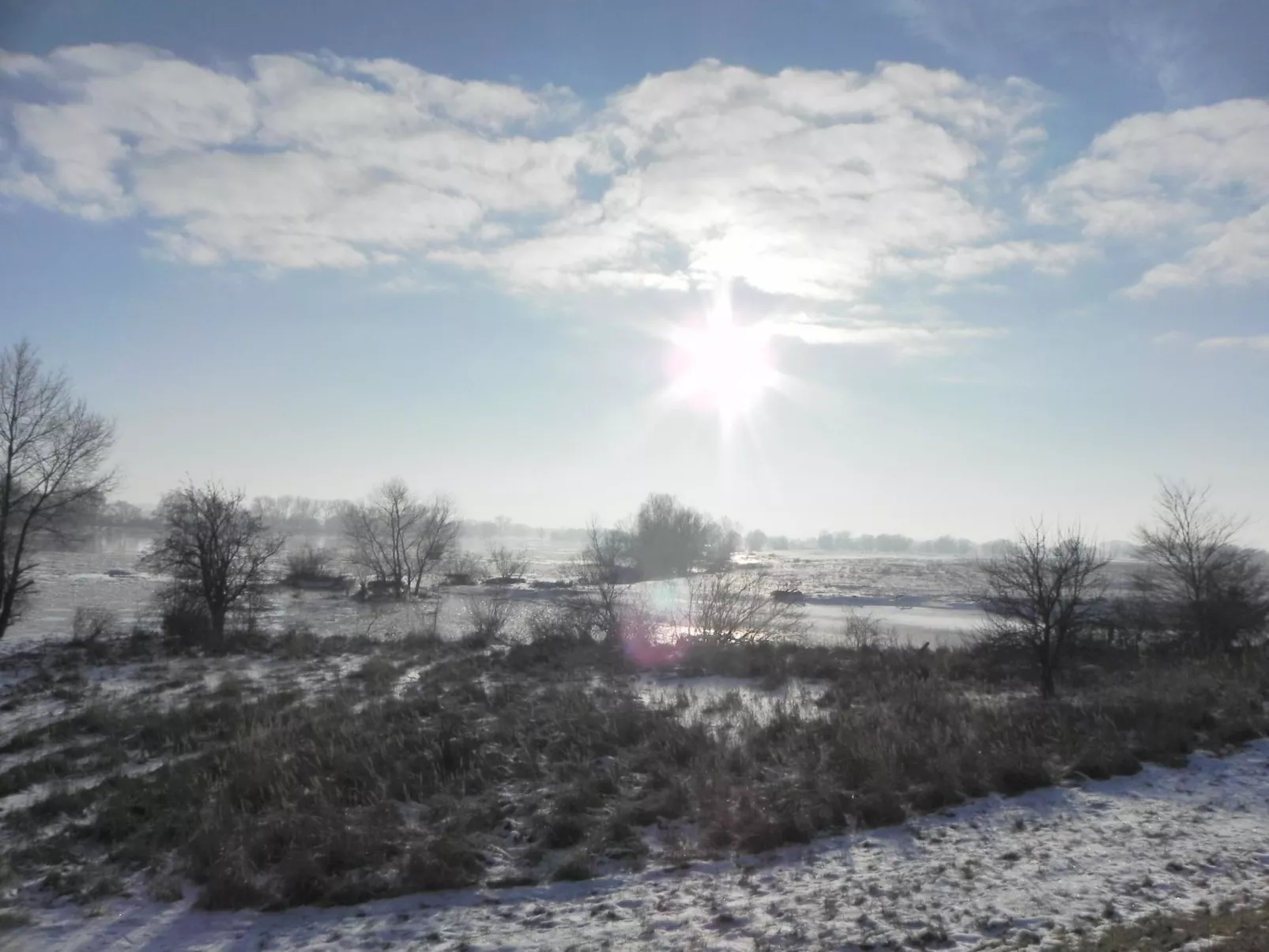 Zwei-Zimmer-Wohnung mit Wintergarten - Image-tags.info