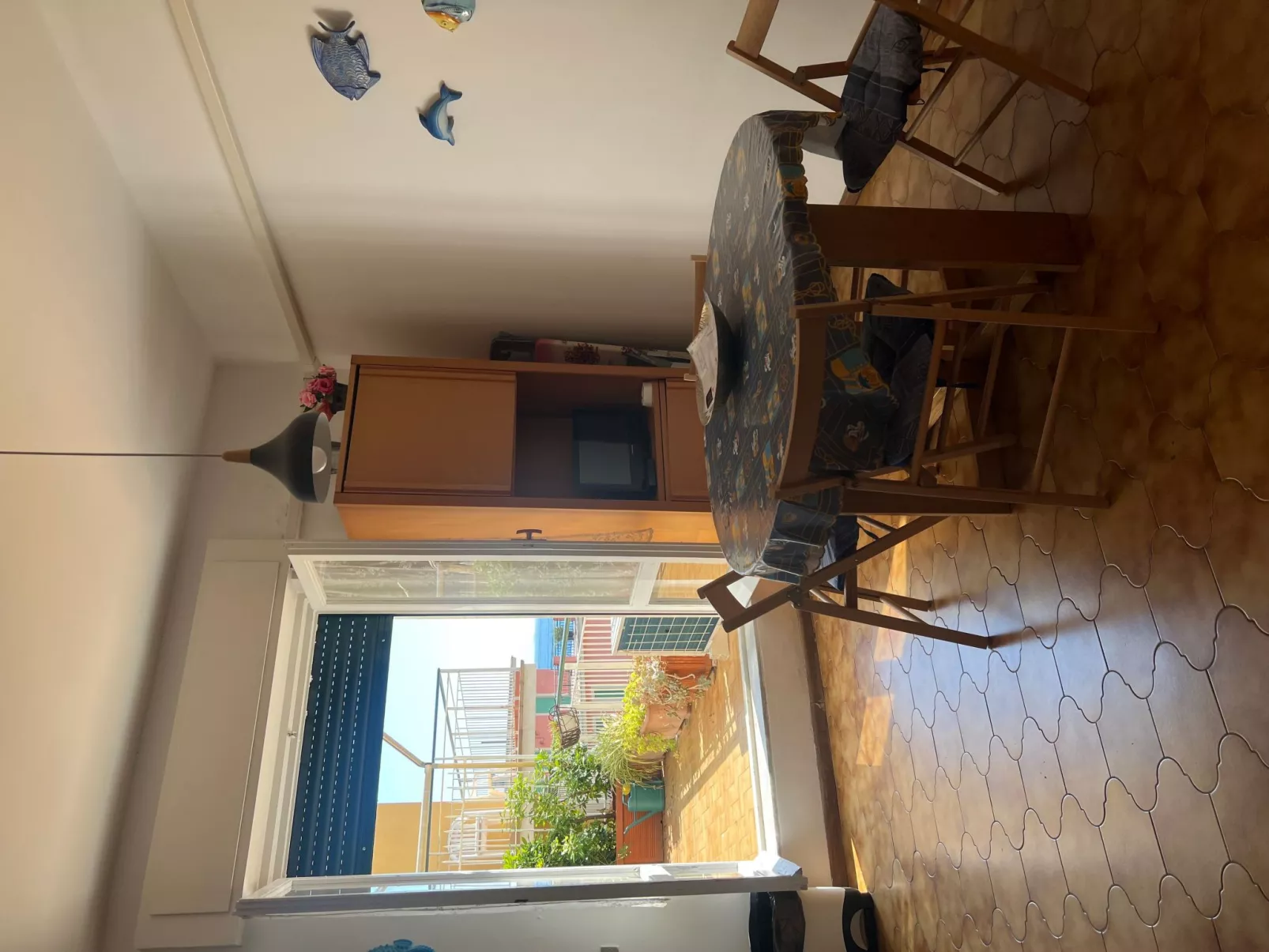 Pitosforo - Image-tags.info