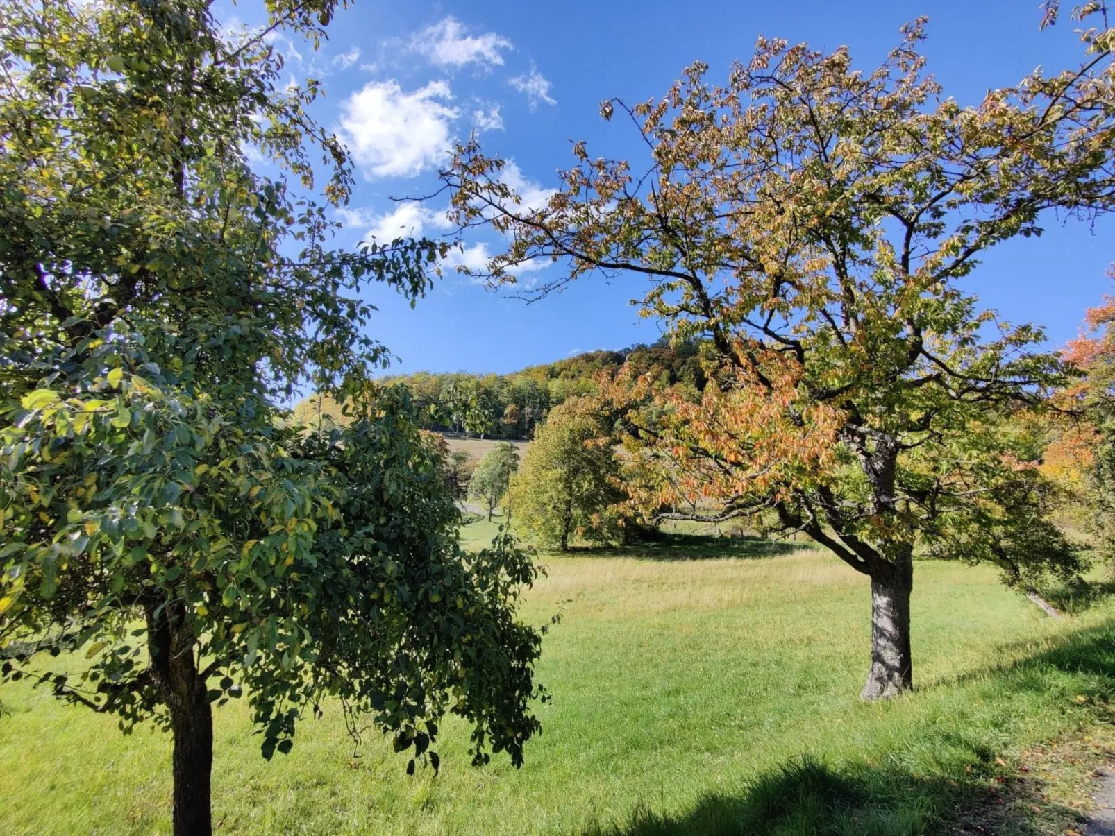 In Holzhausen mit Grill und Terrasse - Image-tags.info