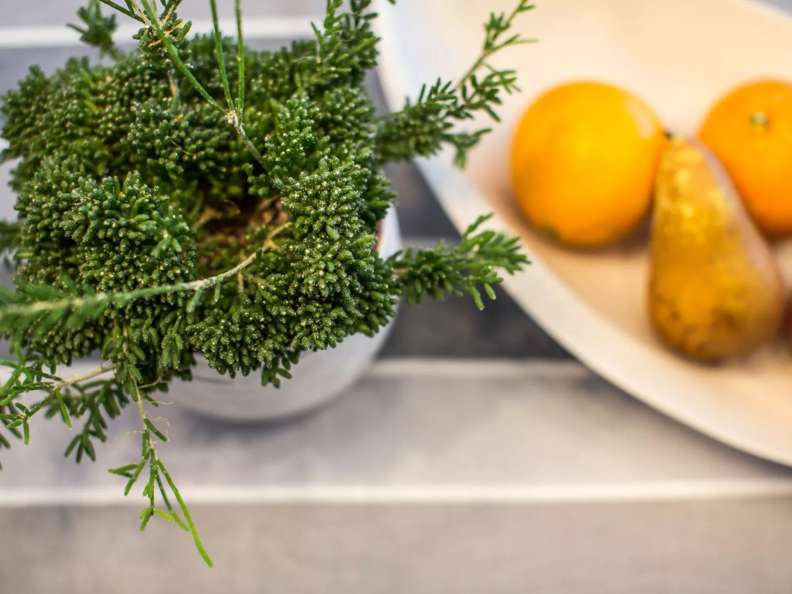 Komfortables Studio-Apartment Höchsten - Image-tags.info