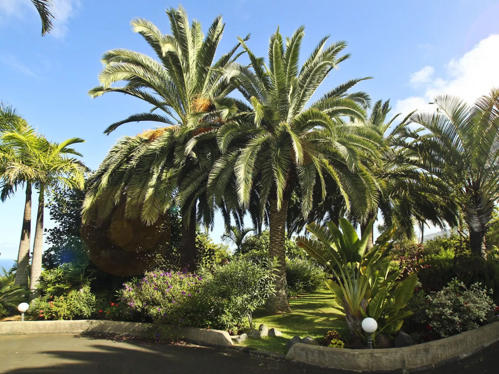 Finca Tocama - Buiten