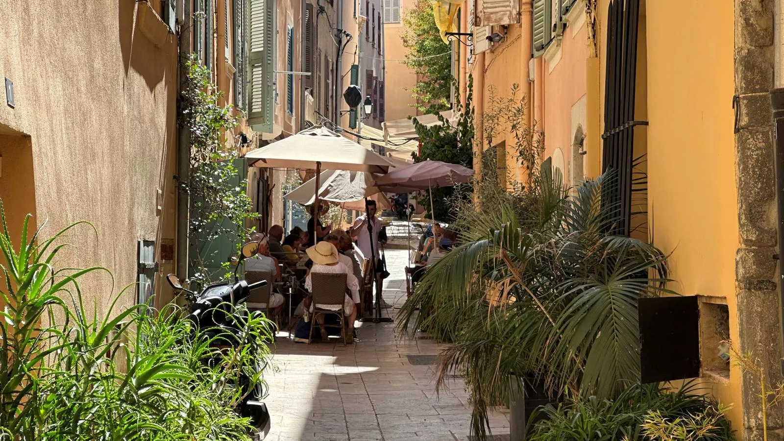 Bonaventure - Gebieden zomer 5km