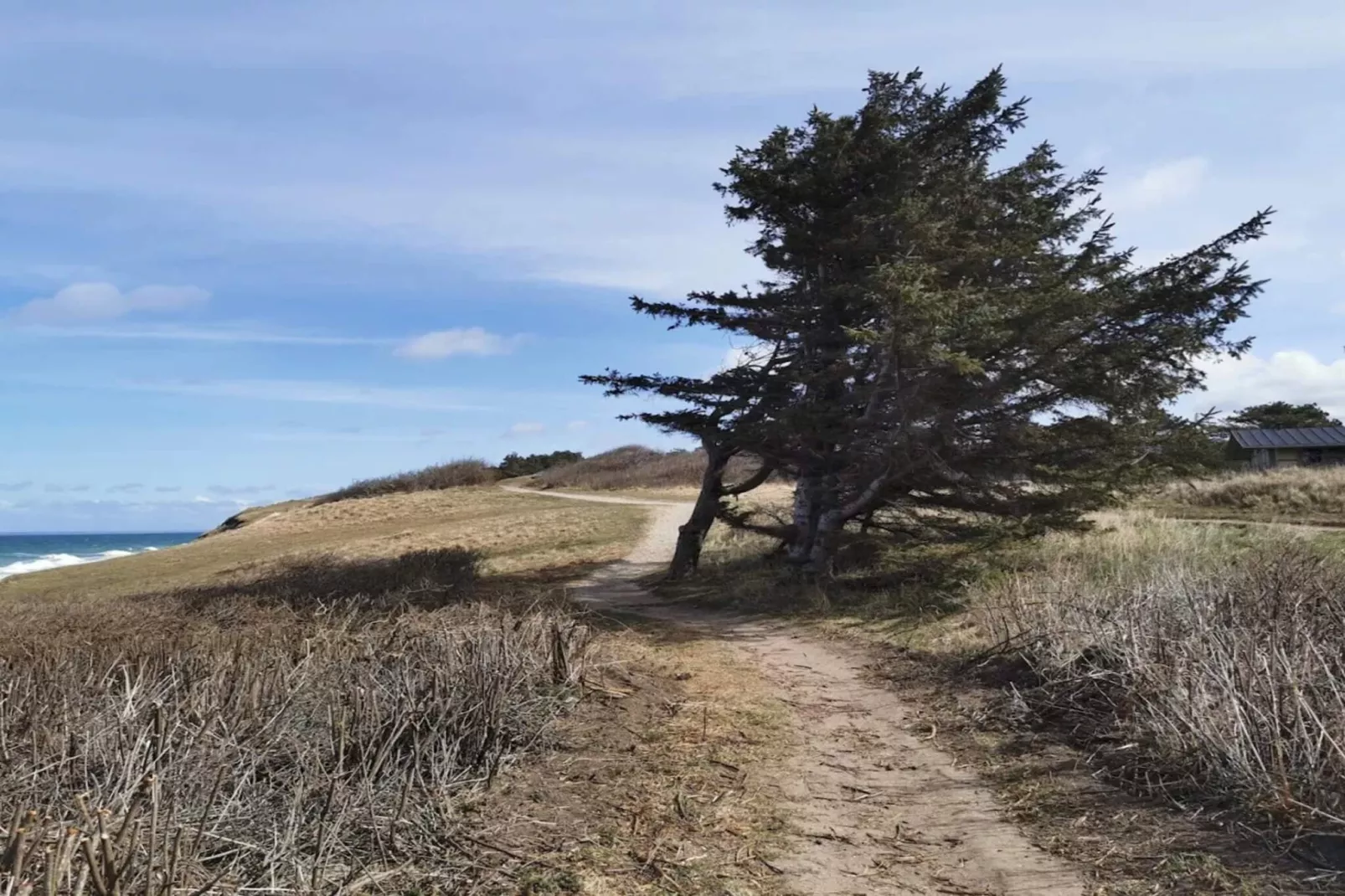 5 persoons vakantie huis in Gilleleje-By Traum - Waterzicht