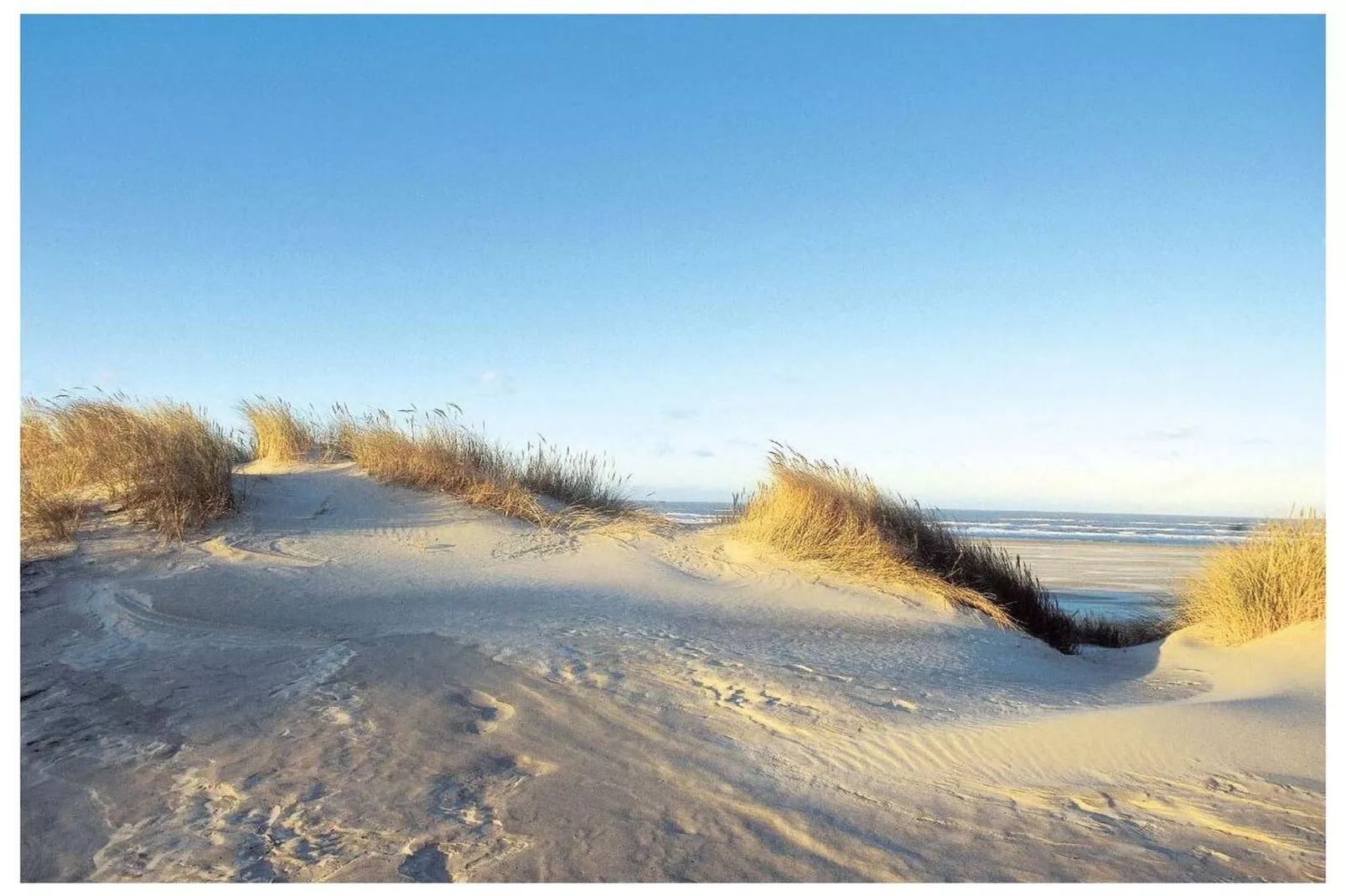 382021-Gebieden zomer 5km