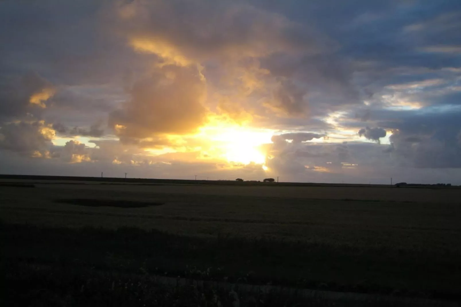 46450 - Tuinen zomer