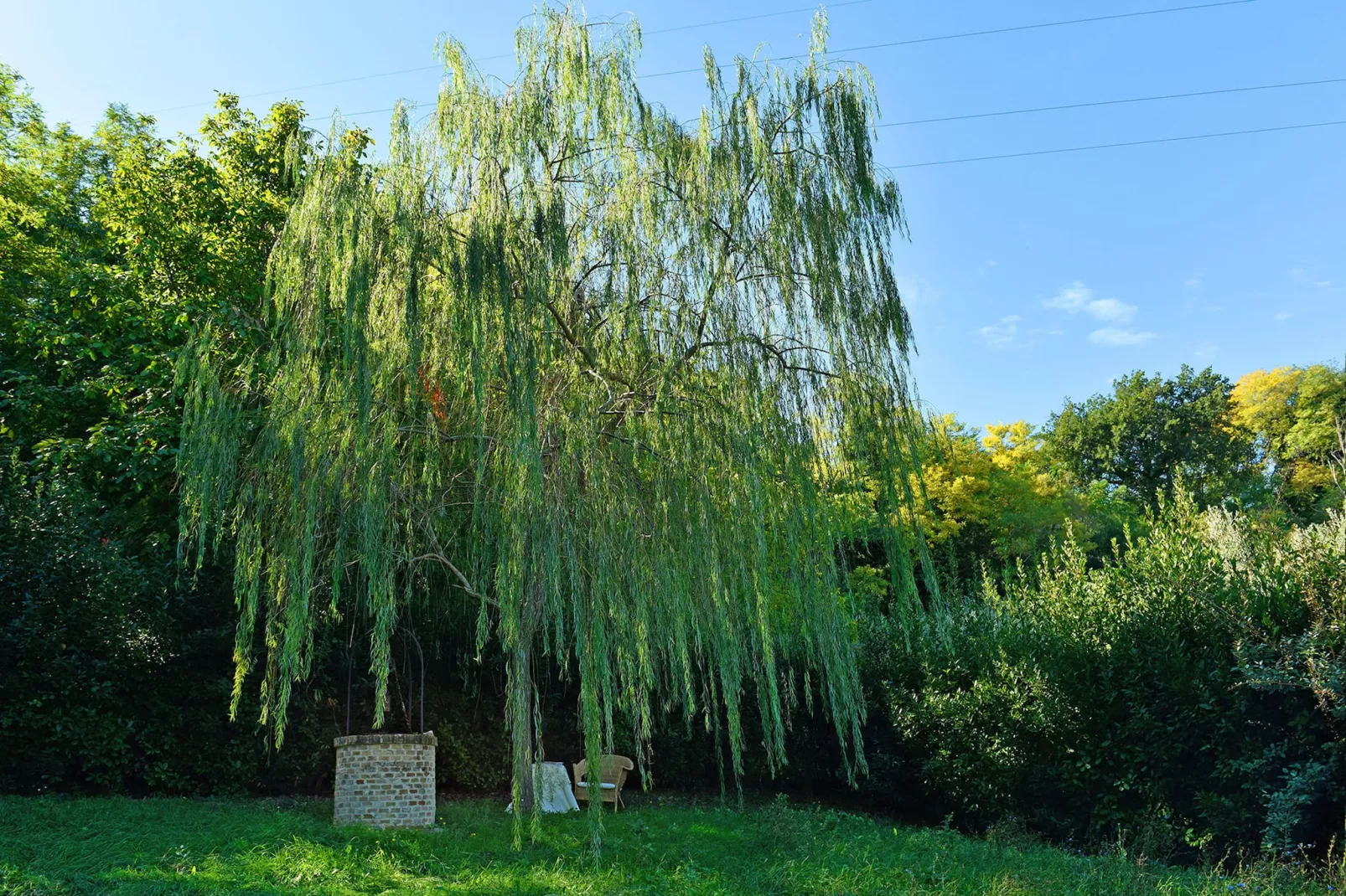 Villa Poggio San Giacomo - Tuinen zomer