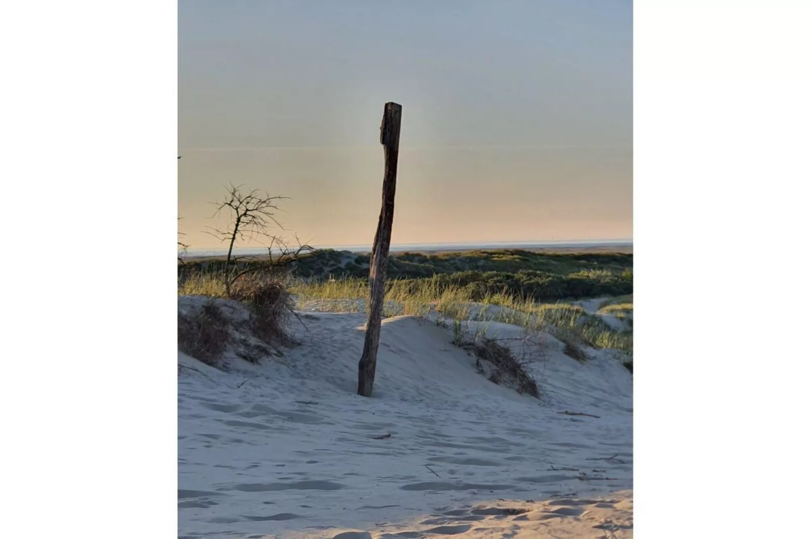 315546 - Image-tags.water view