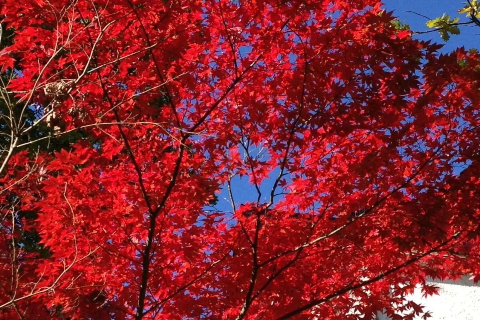 284171-Gebieden zomer 5km