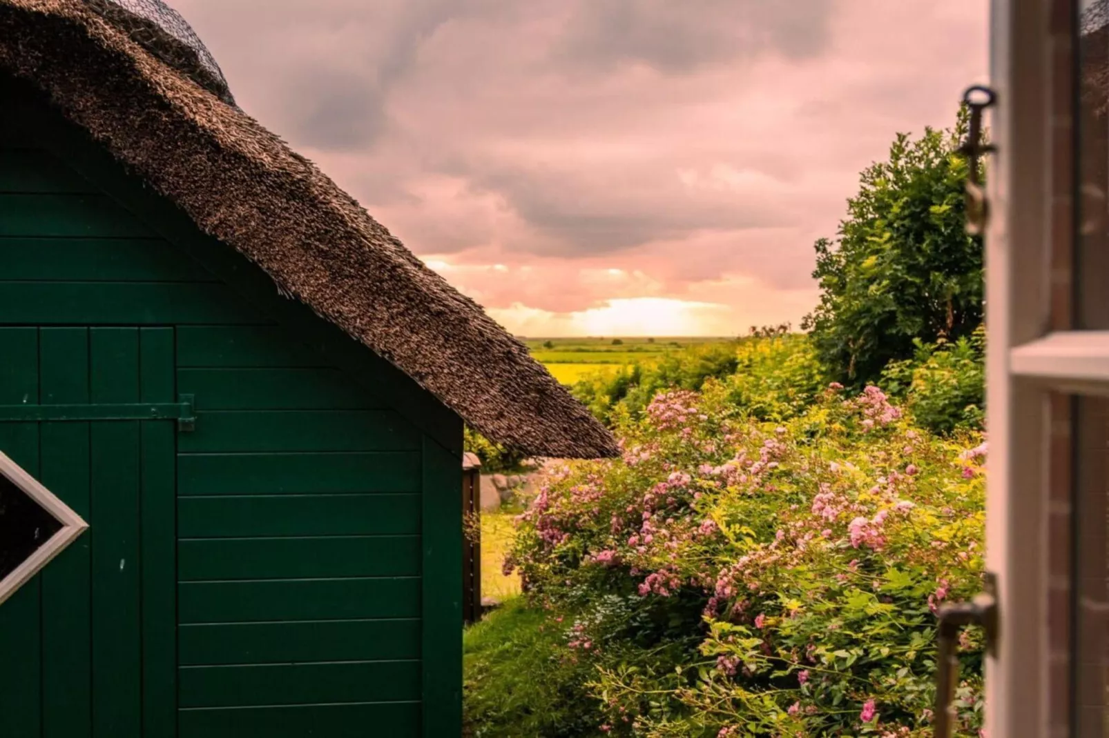 573535 - Buitenkant zomer