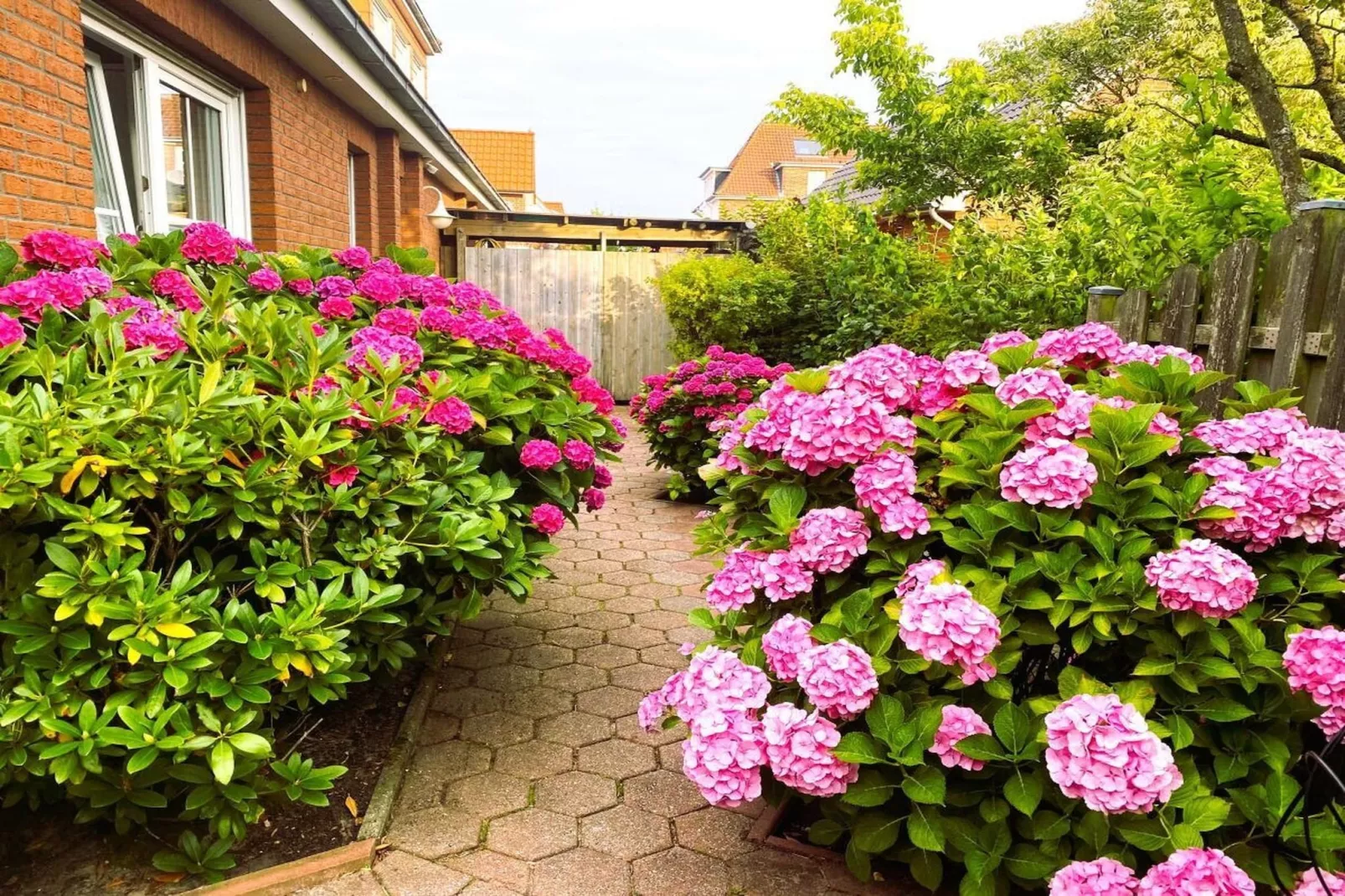 581070 - Tuinen zomer