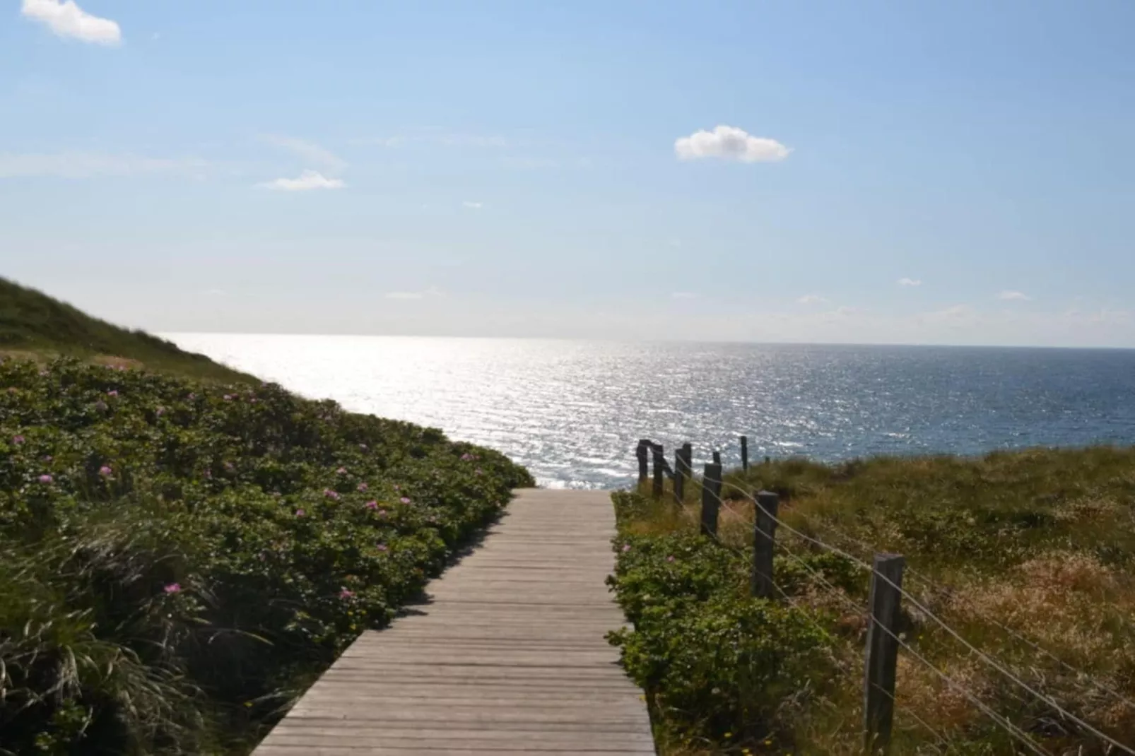 190721-Buitenkant zomer