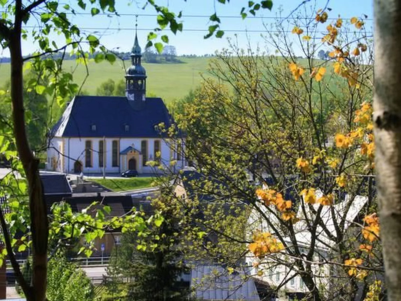 Fewo Katzengold-Image-tags.info