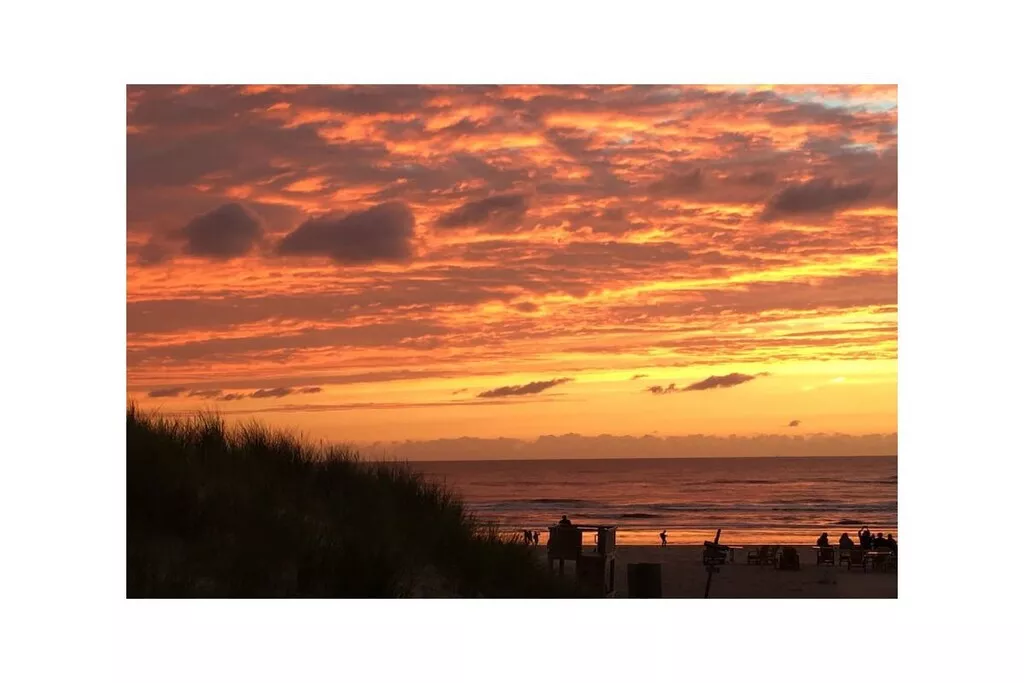 273134 - Niet-getagd