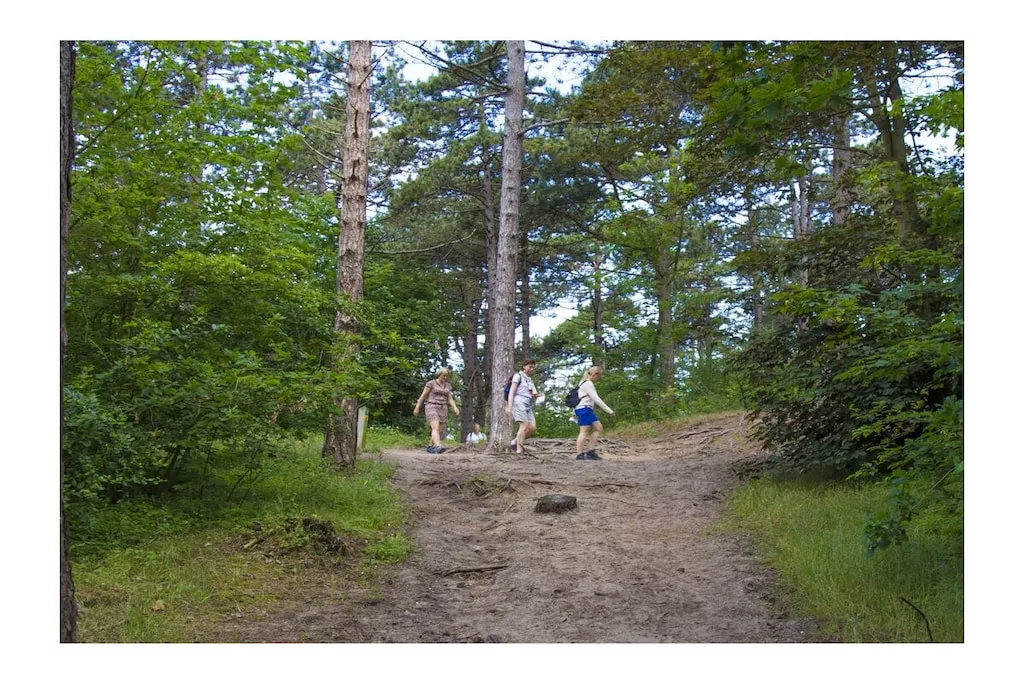 273150 - Niet-getagd