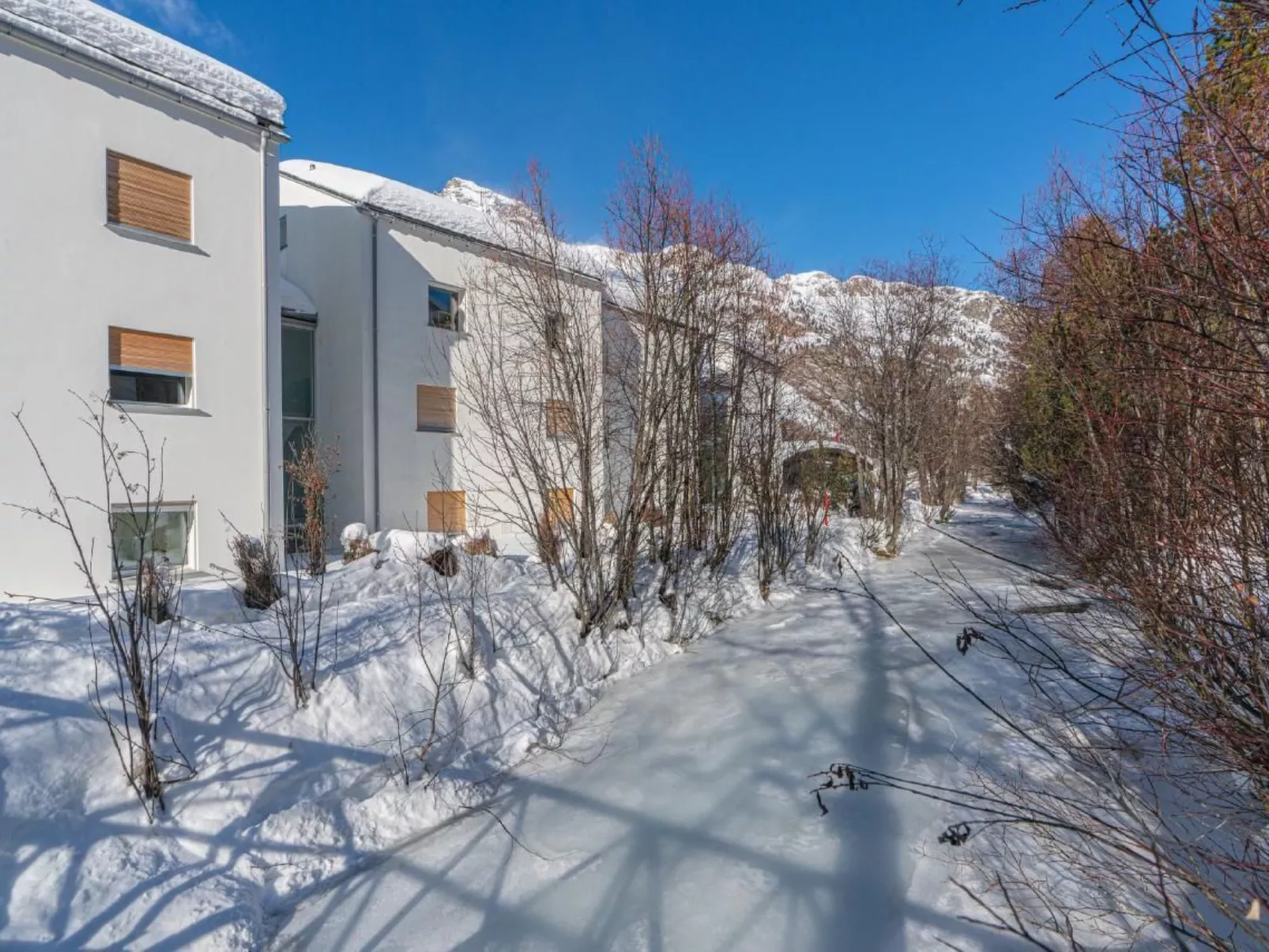 Edelweiss 5.3 - Image-tags.info