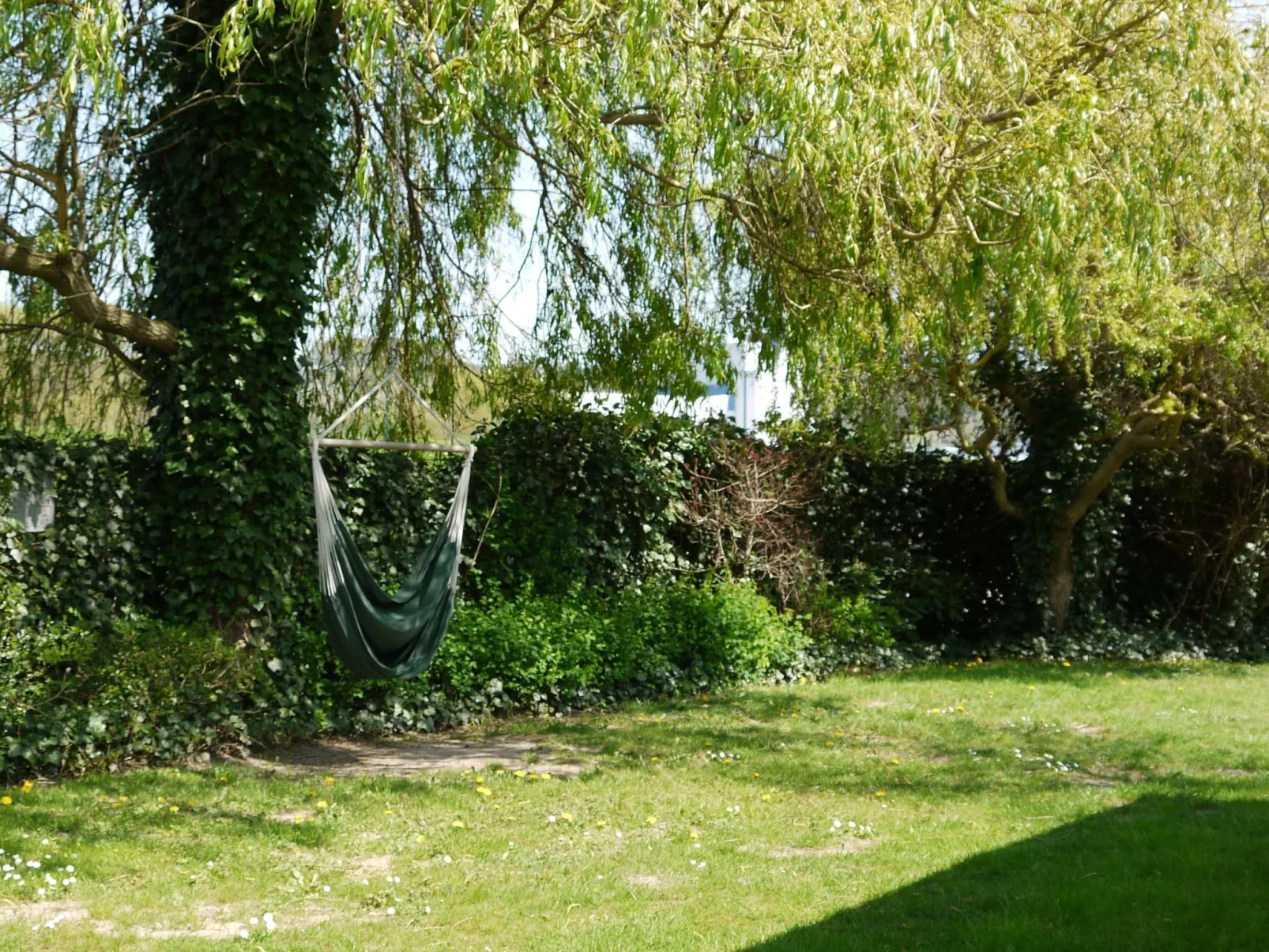 Elbufer - Image-tags.info