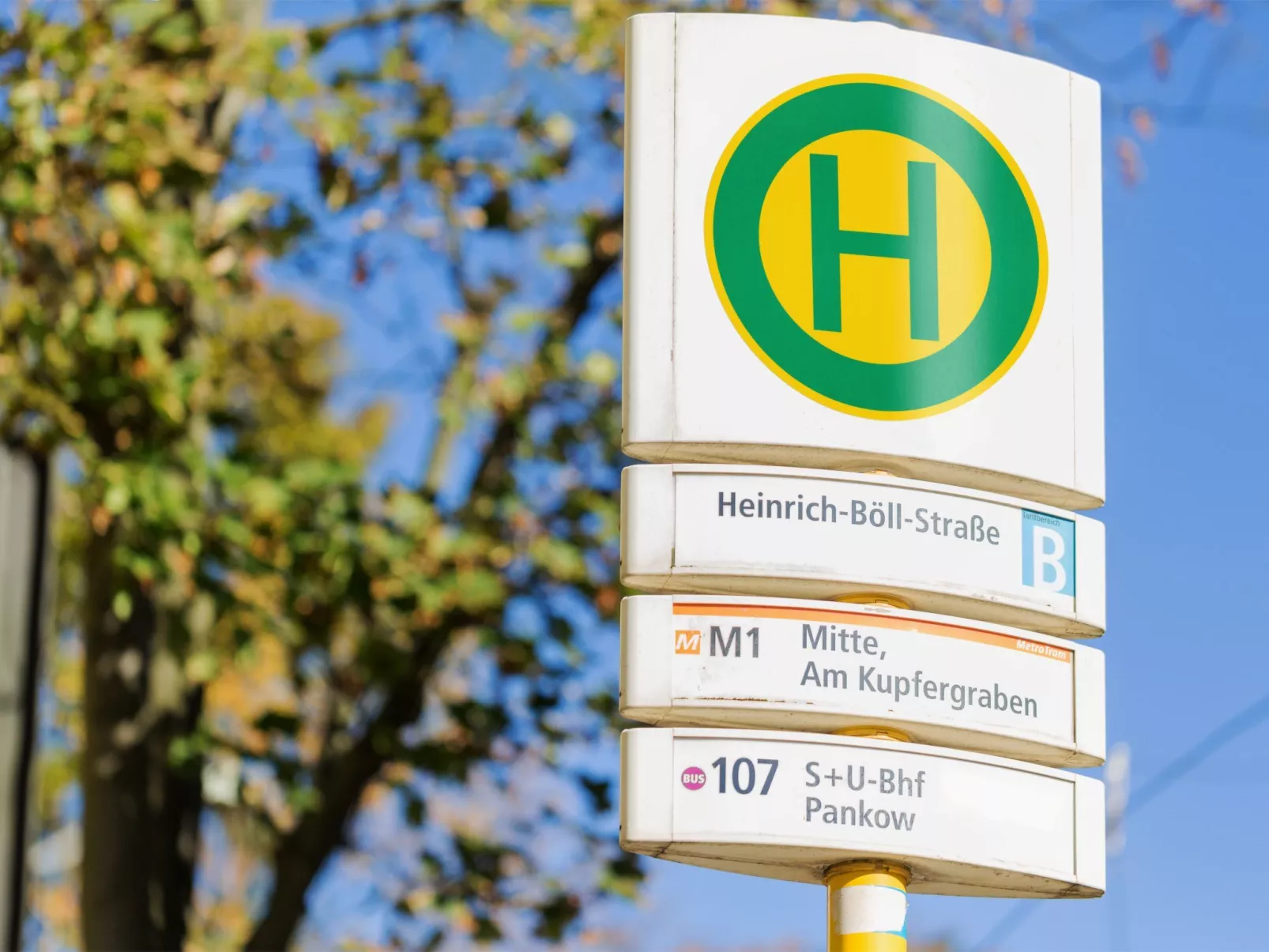 Wohnung in Niederschönhausen - Image-tags.info