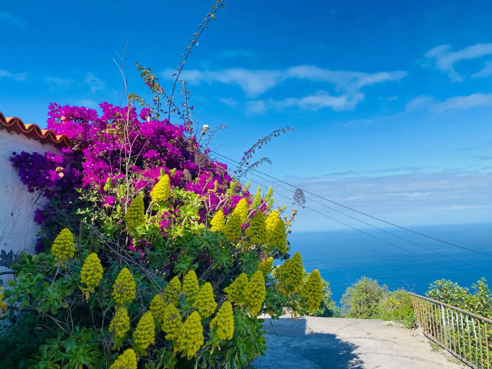 Finca Ventana al Mar - Image-tags.info