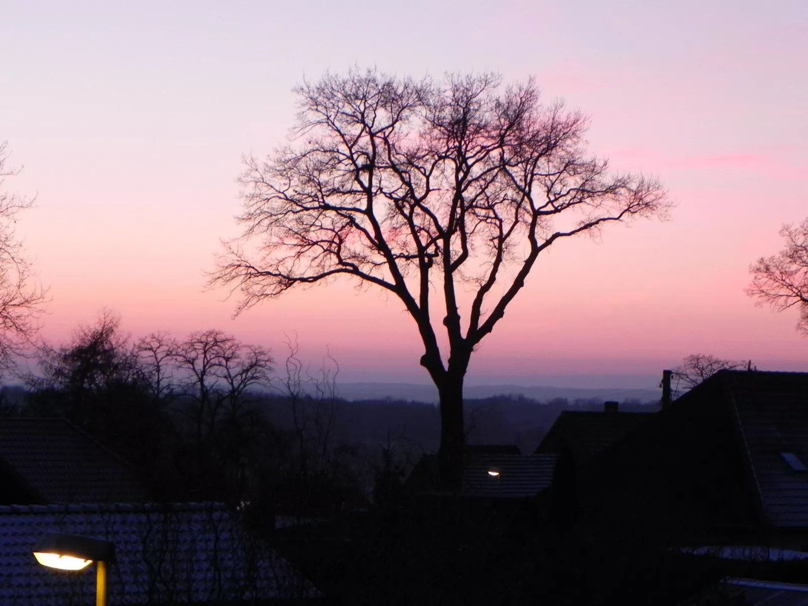 Zwei-Zimmer-Wohnung mit Wintergarten - Image-tags.info