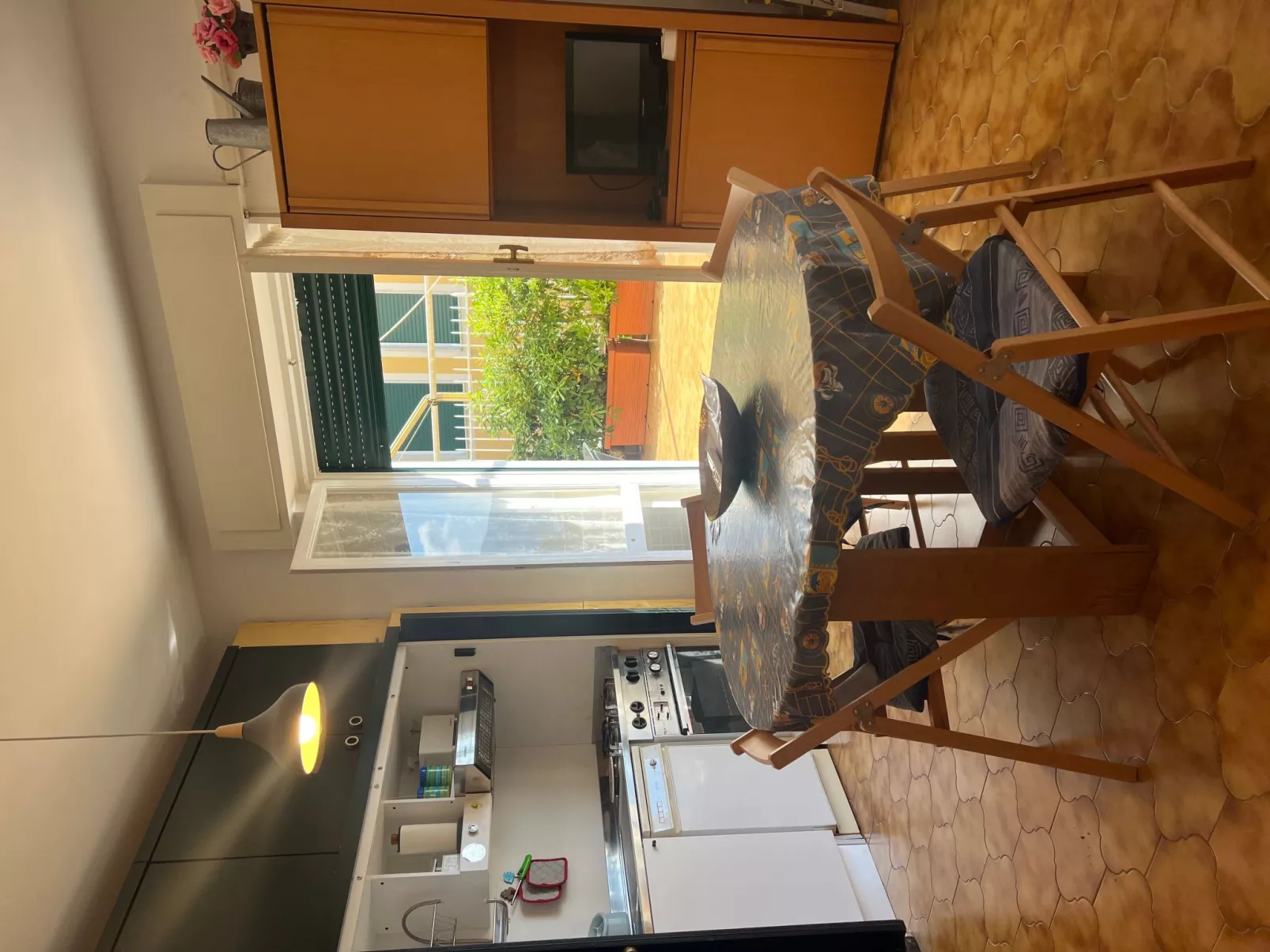 Pitosforo - Image-tags.info