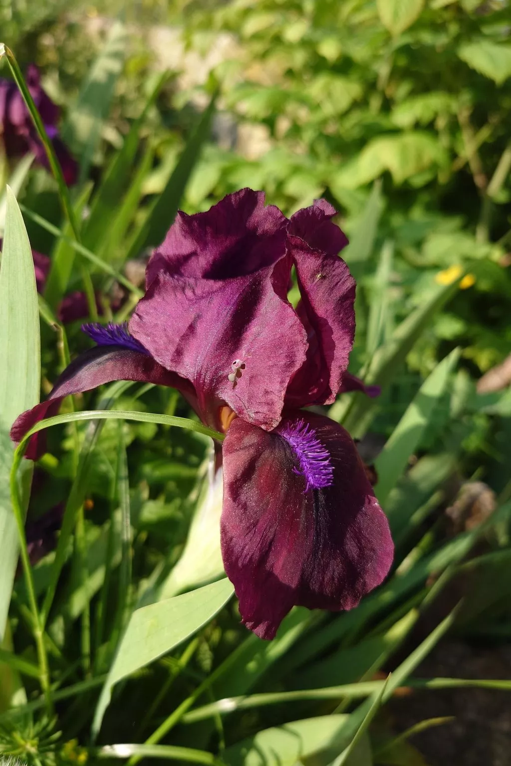 Kerstin - Image-tags.info