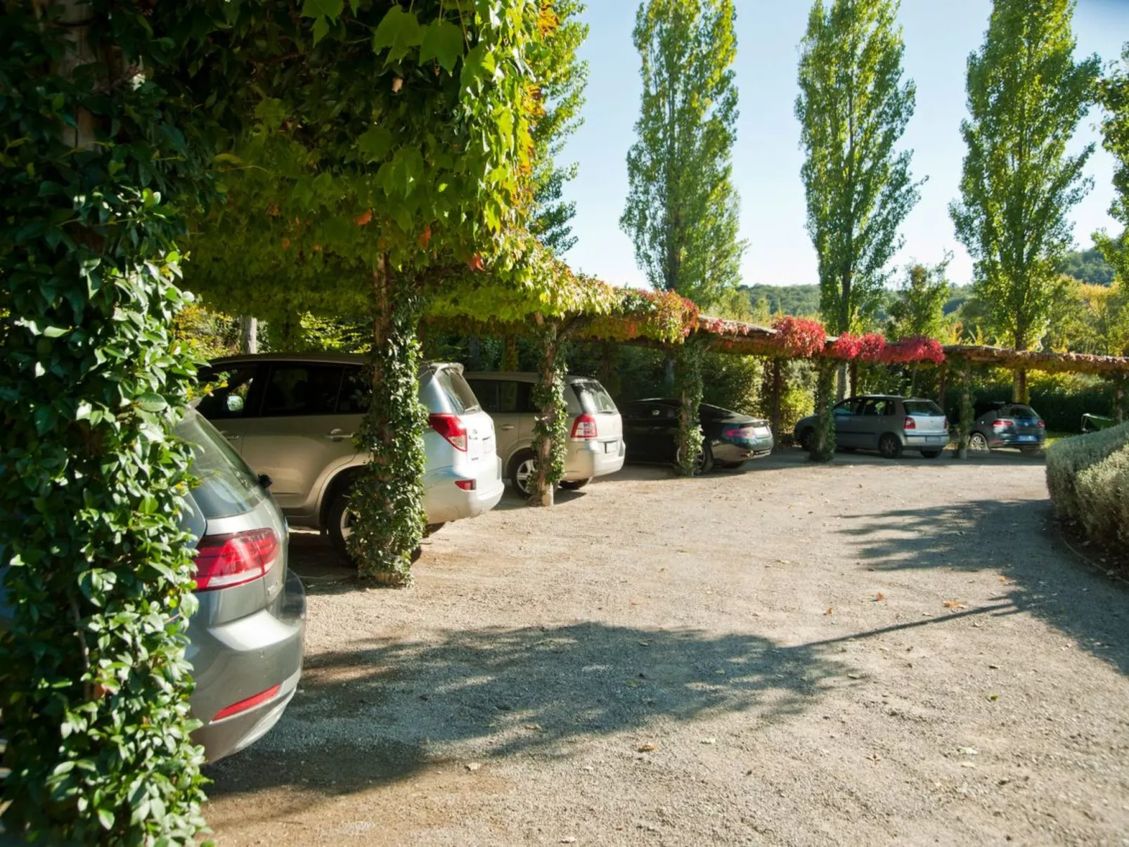 Ca de Frati Residenz - Rosa Wohnung - Image-tags.info