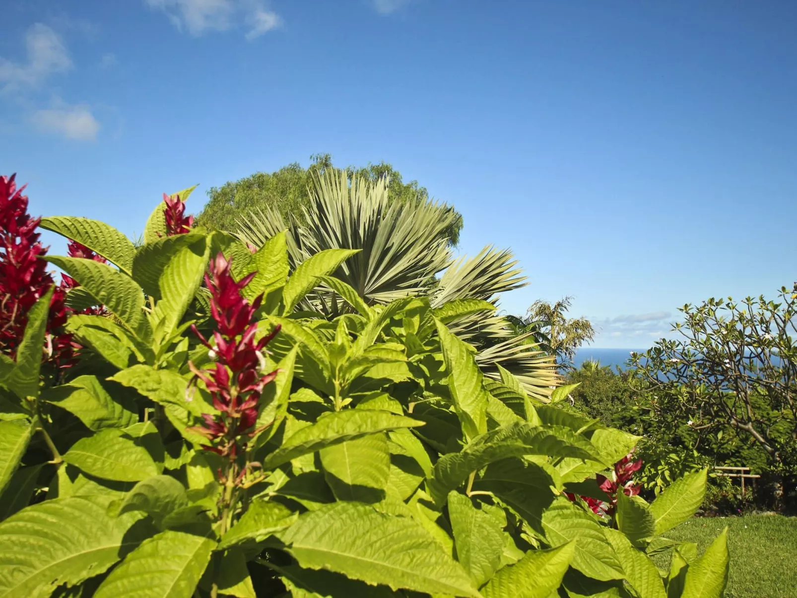 Finca Tocama - Buiten