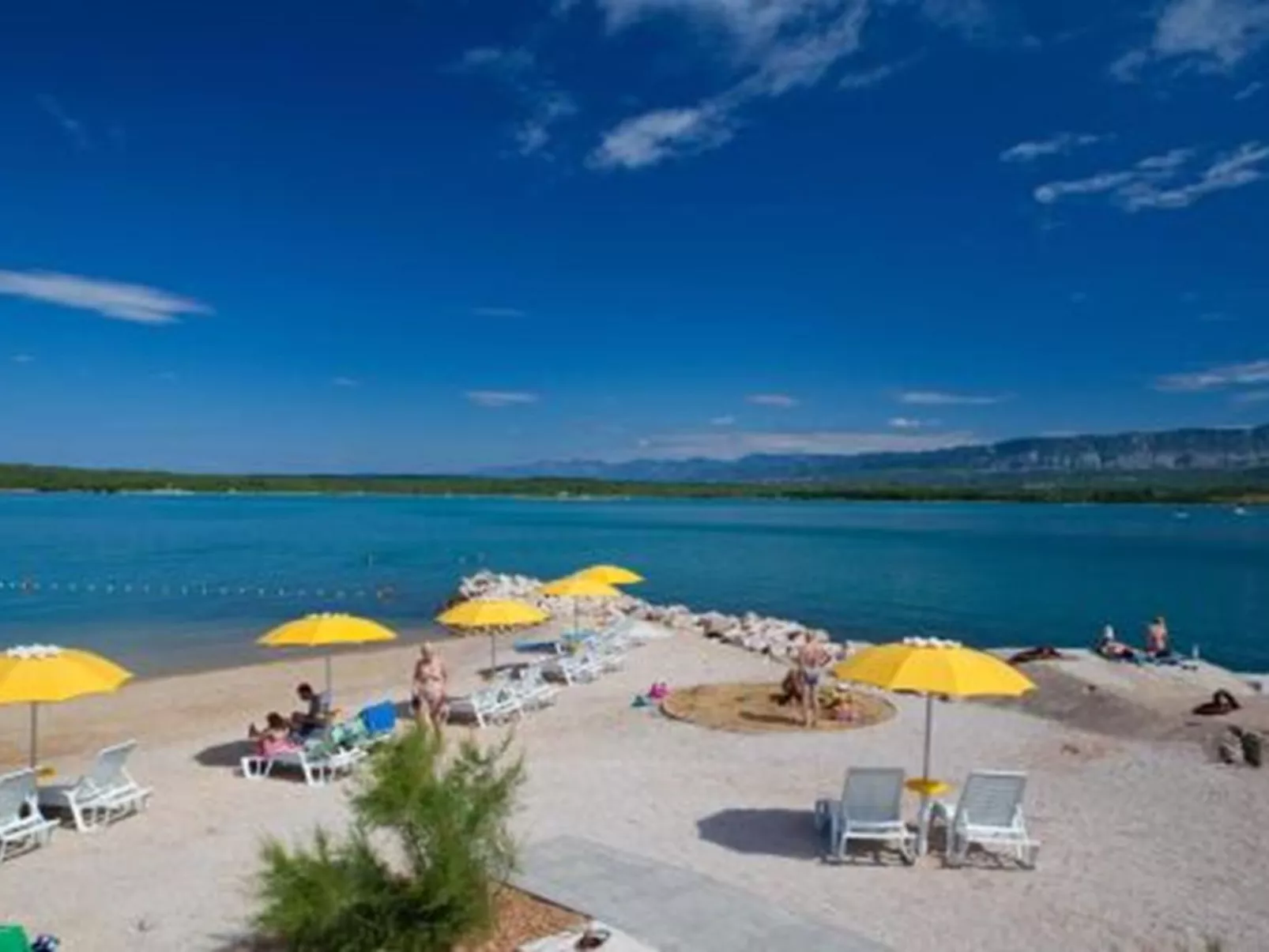 "Willheim" - Image-tags.info