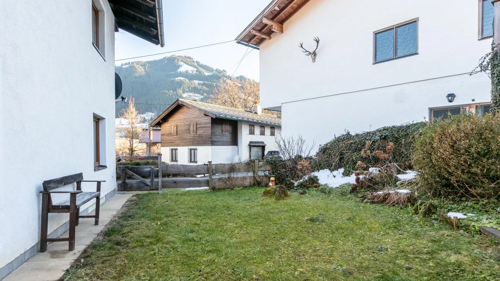 Wildrose I - Tuin winter