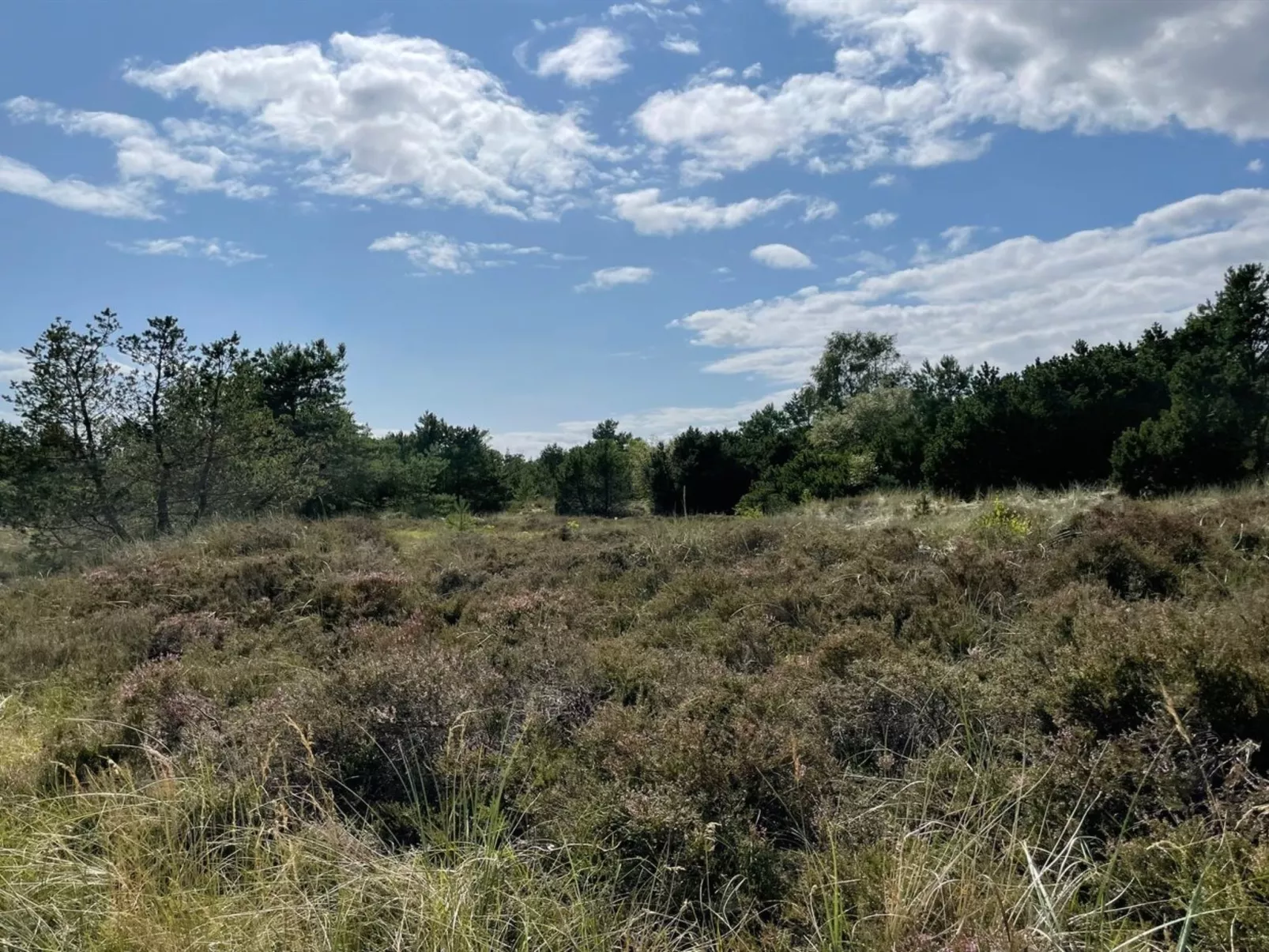 "Ertan" - 500m from the sea