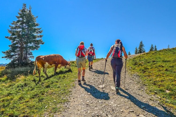 Haus Andrea Cäciel - Gebieden zomer 5km