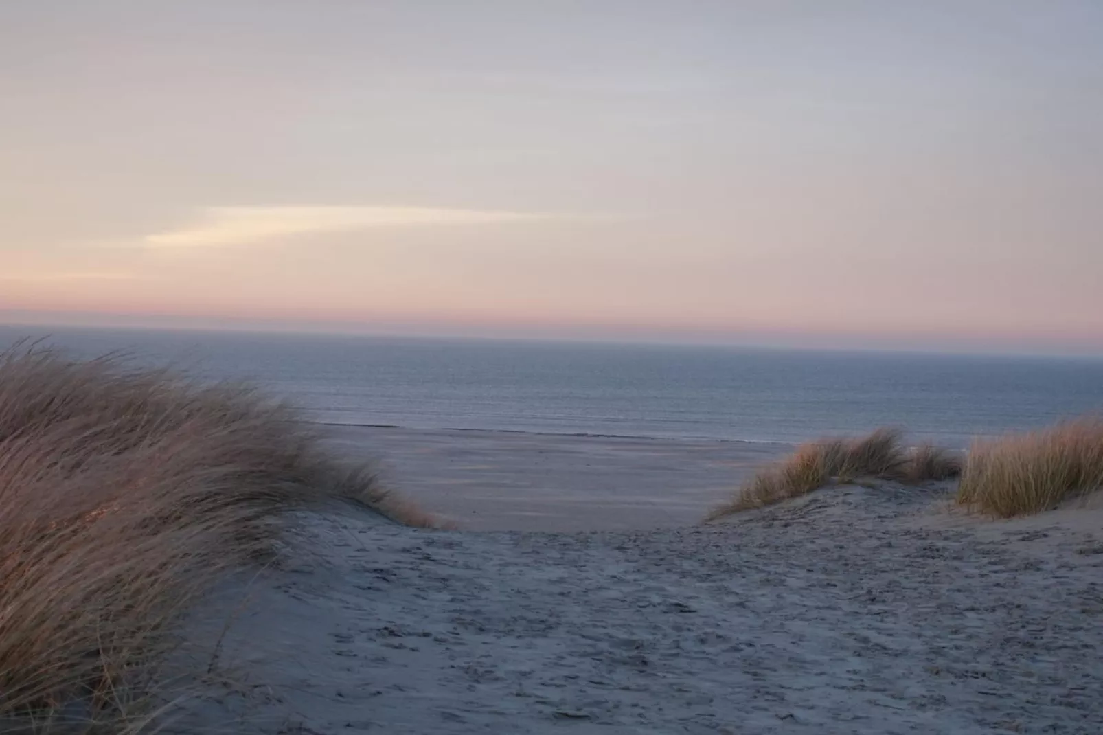 127664-Gebieden zomer 5km